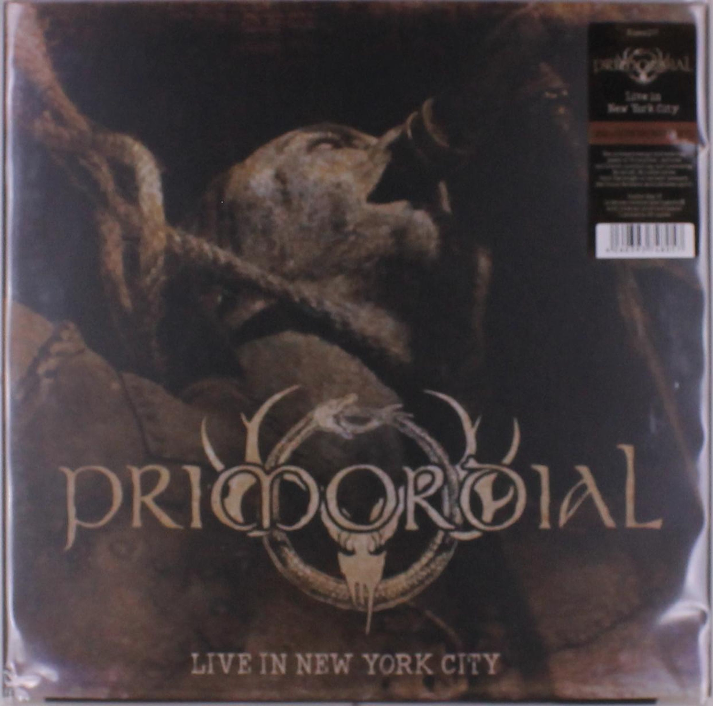 Vinyl - LIVE IN NEW YORK CITY