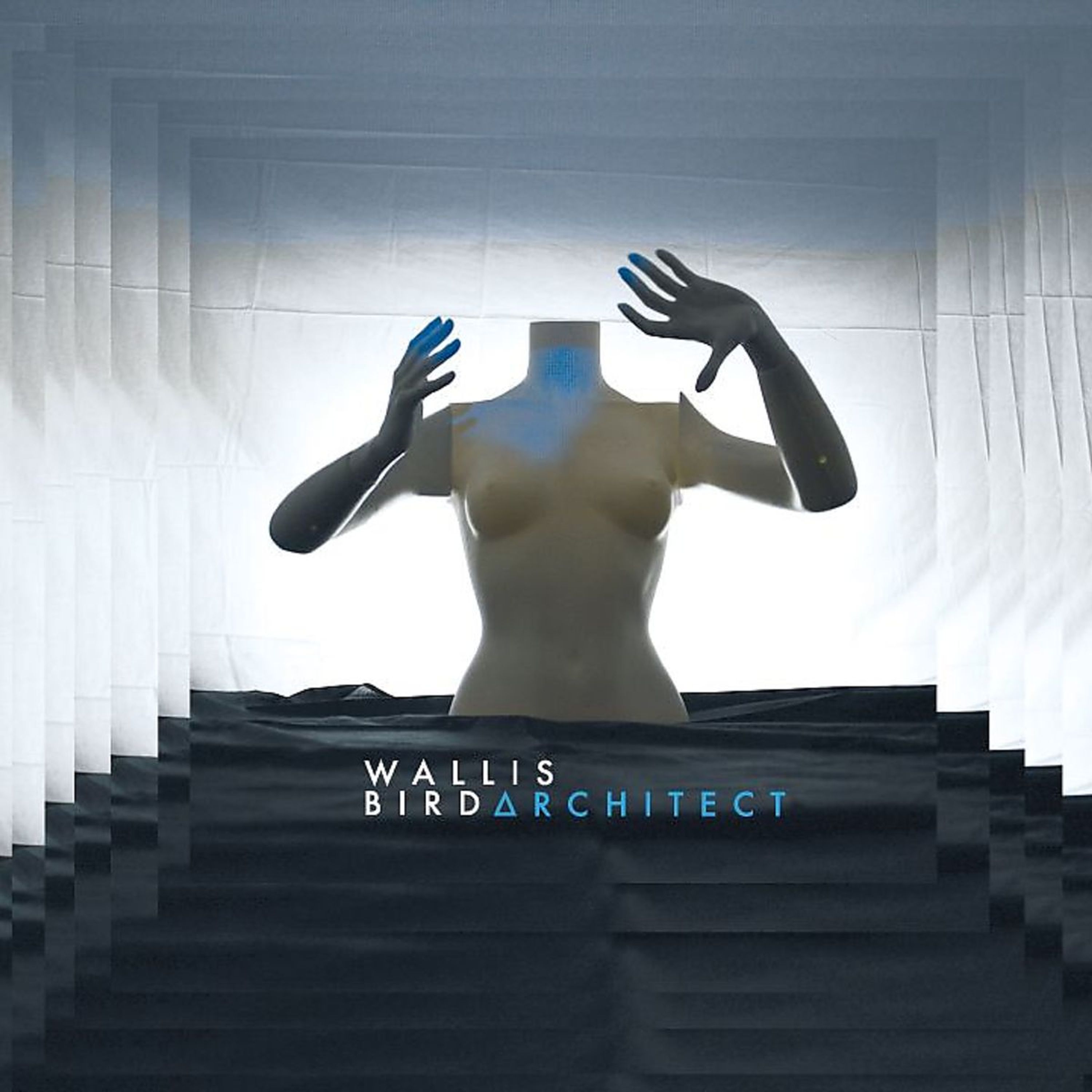 Vinyl Wallis Bird - ARCHITECT