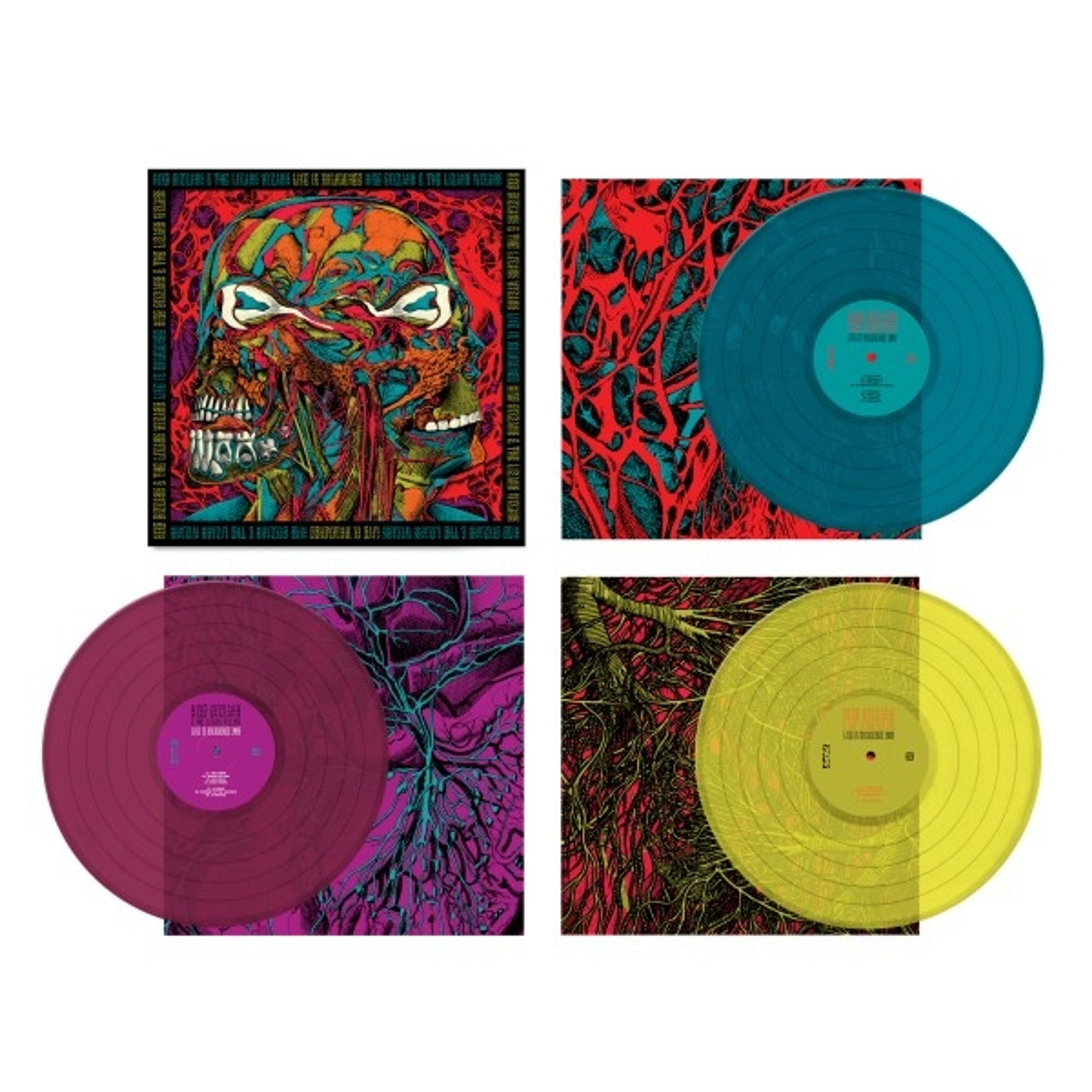Vinyl King Gizzard & The Lizard Wizard - LIVE IN MILWAUKEE