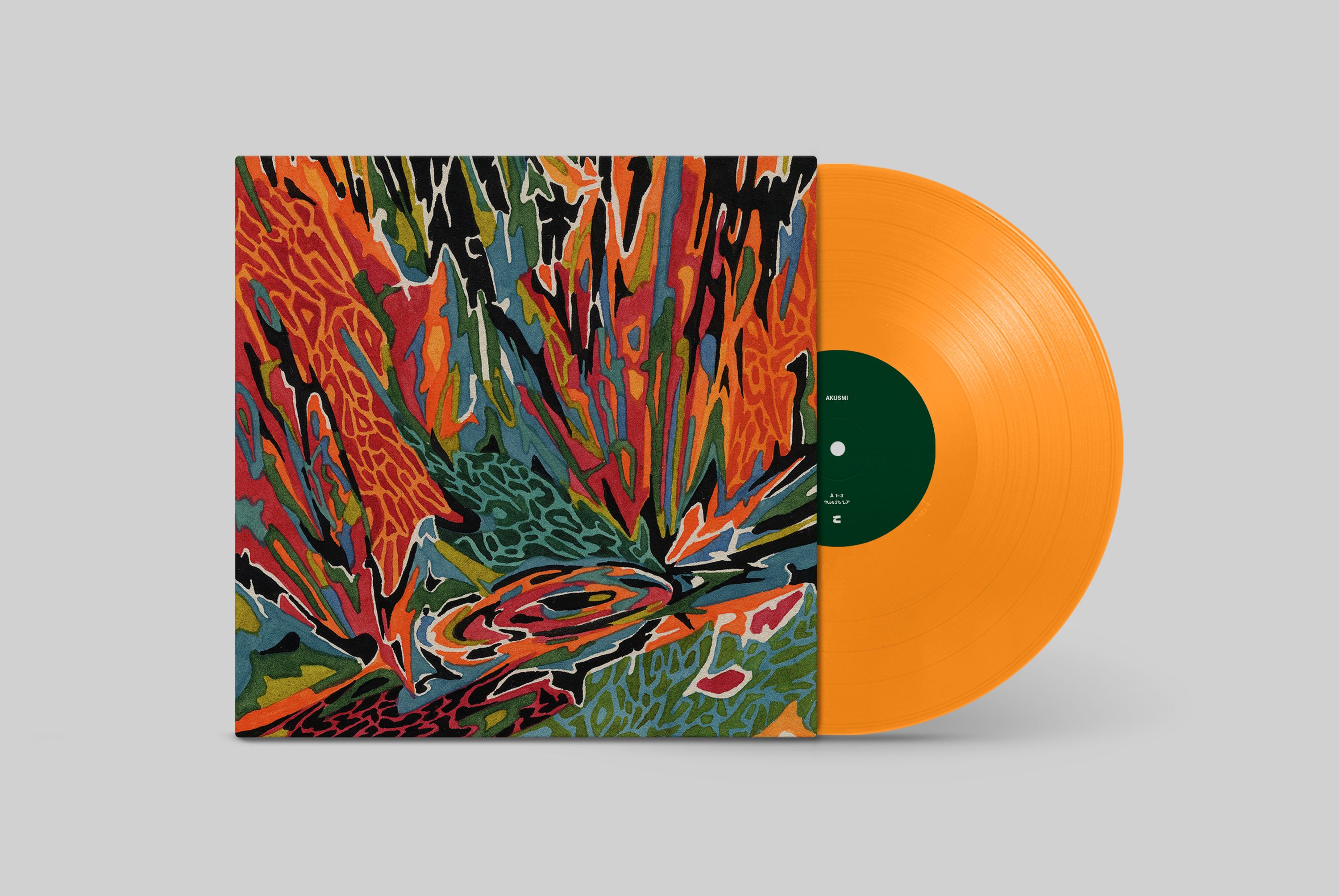 Vinyl - TERRA INCOGNITA