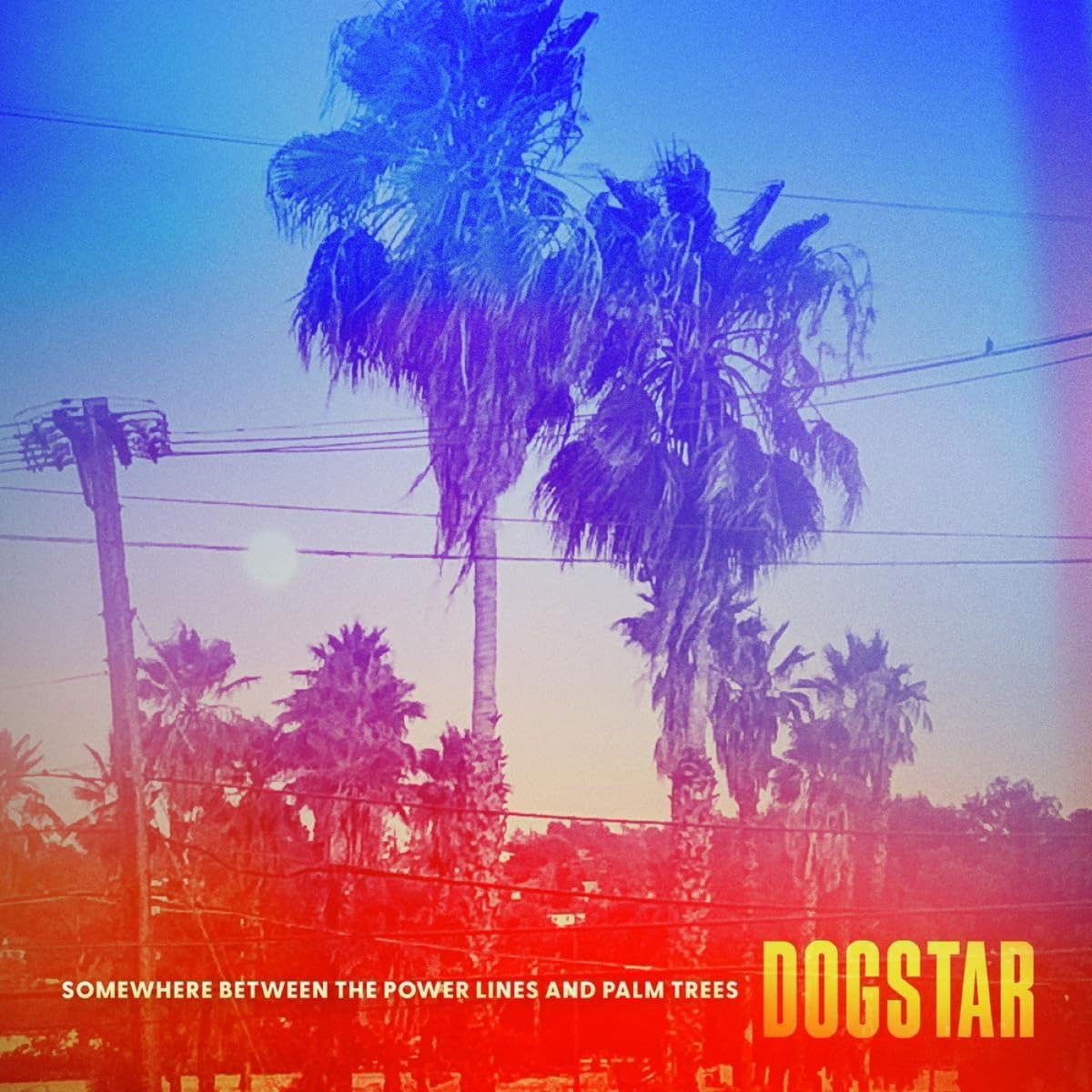 Vinyl Dogstar - SOMEWHERE BETWEEN THE POWER LINES AND PALM TREES