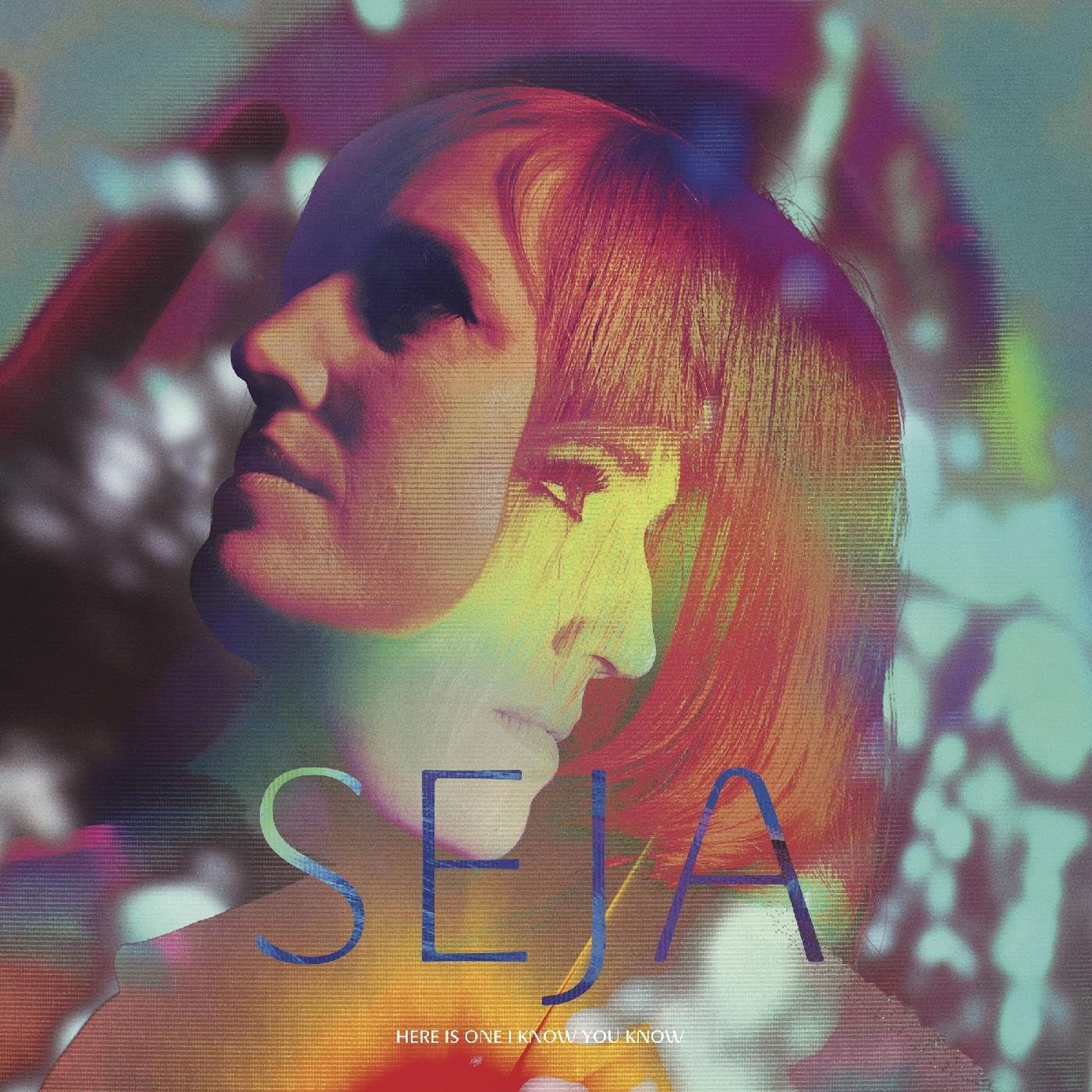Vinyl Seja Vogel - HERE IS ONE I KNOW YOU KNOW