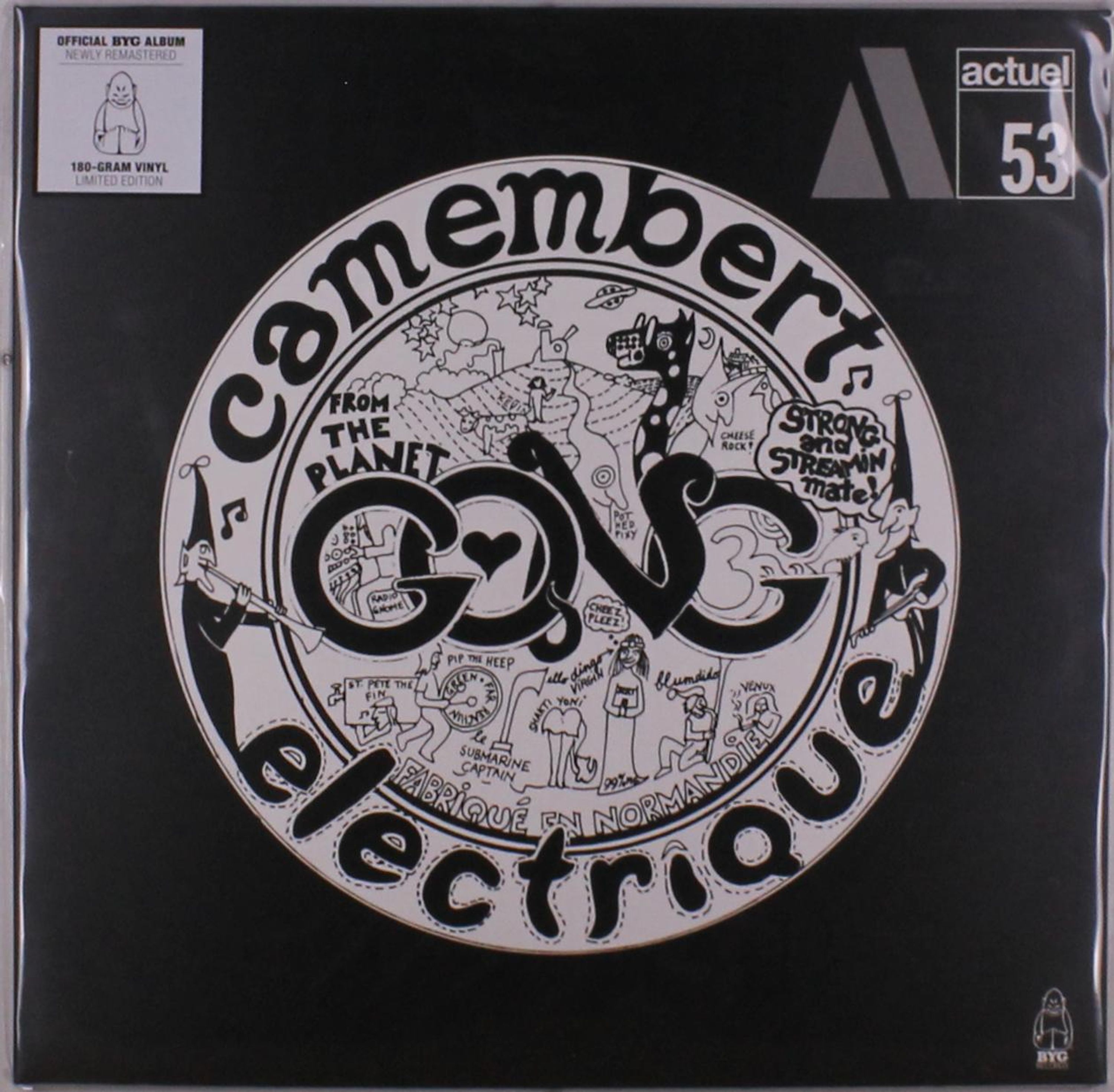 Vinyl Gong - CAMEMBERT ELECTRIQUE