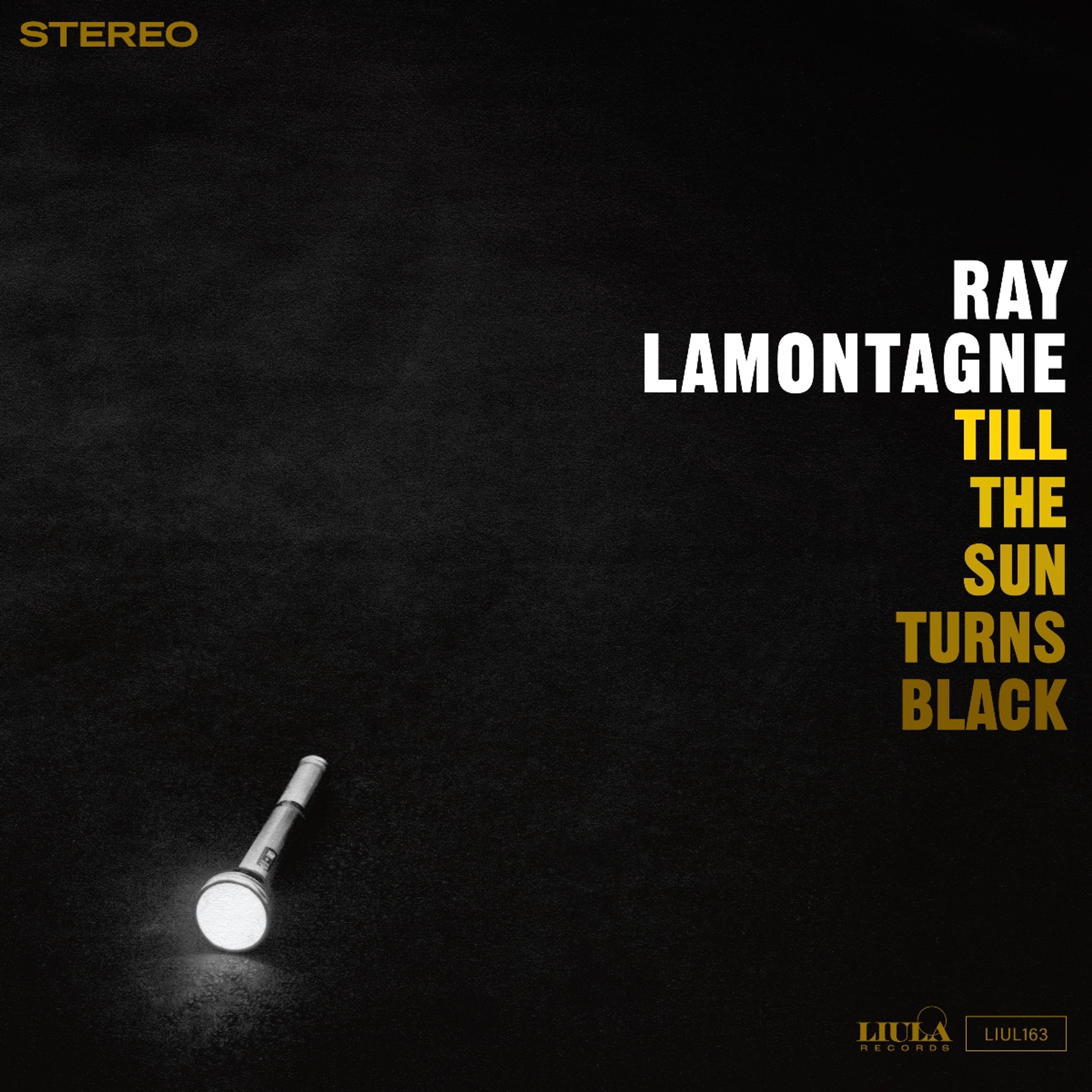 Vinyl Ray LaMontagne - TILL THE SUN TURNS BLACK