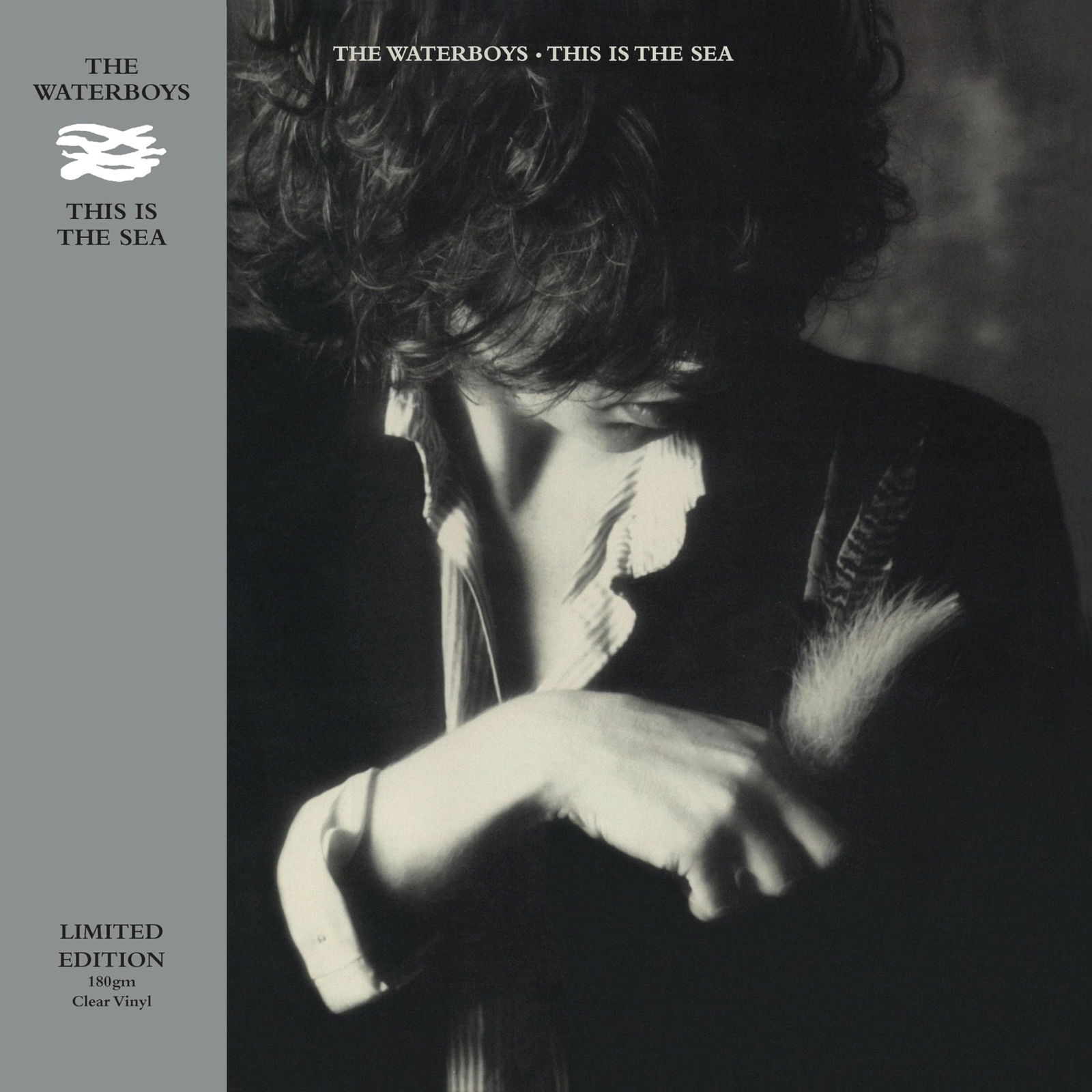Vinyl The Waterboys - THIS IS THE SEA