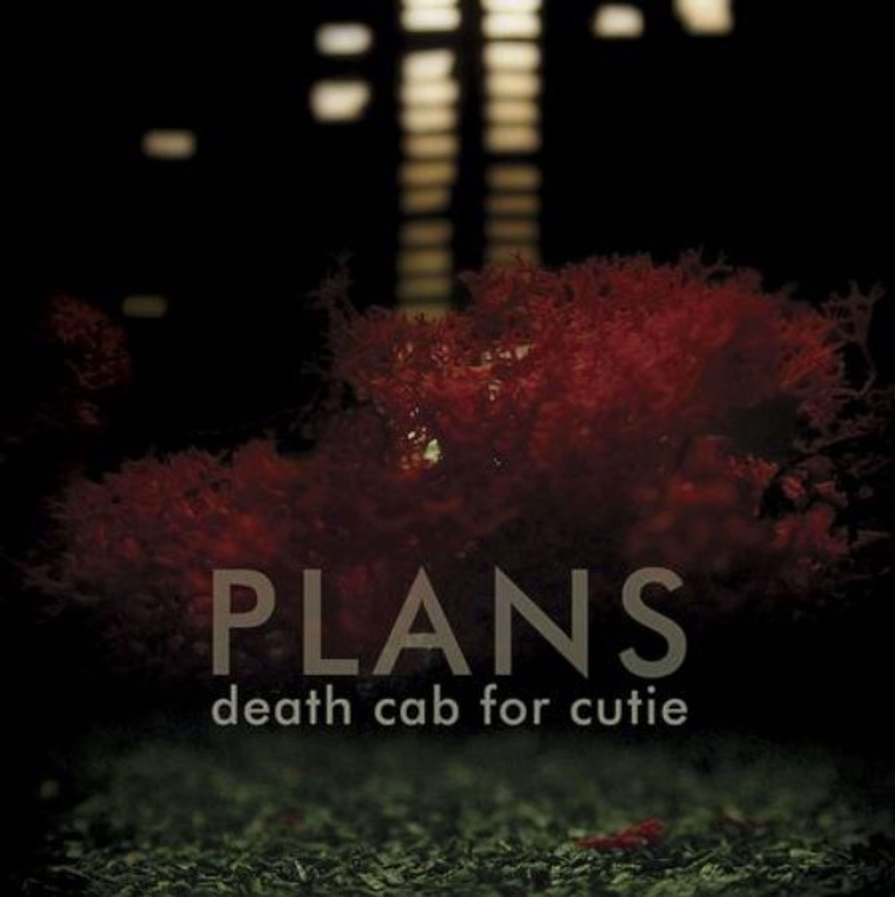 Vinyl Death Cab for Cutie - PLANS