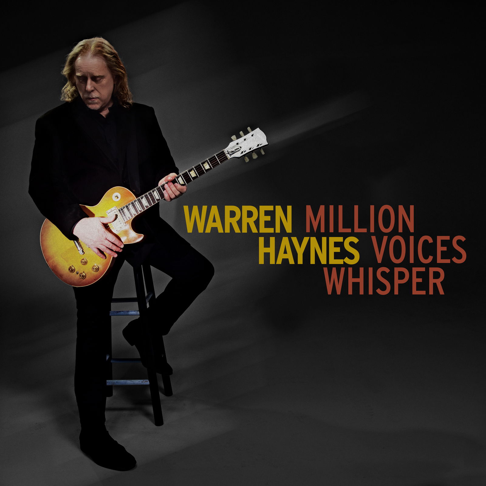 Vinyl Warren Haynes - Million Voices Whisper