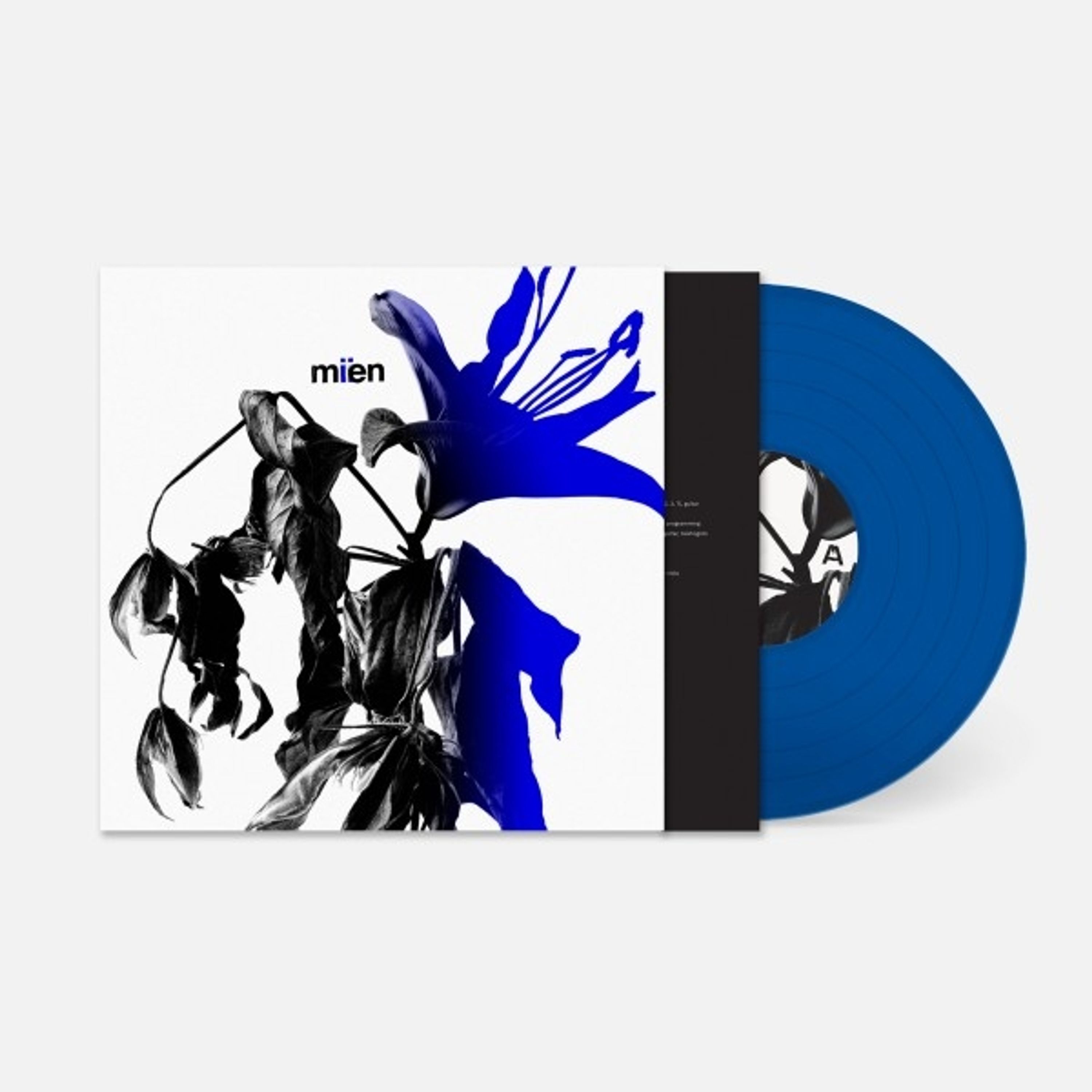 Vinyl MIEN - MIIEN