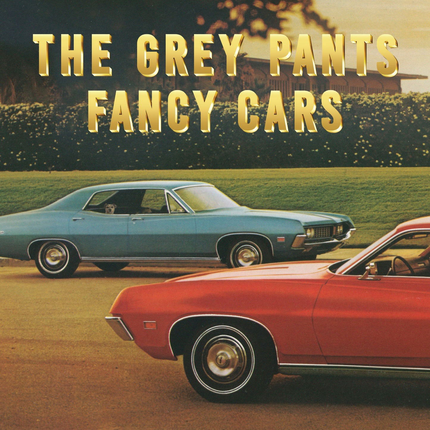 Vinyl Grey Pants - FANCY CARS