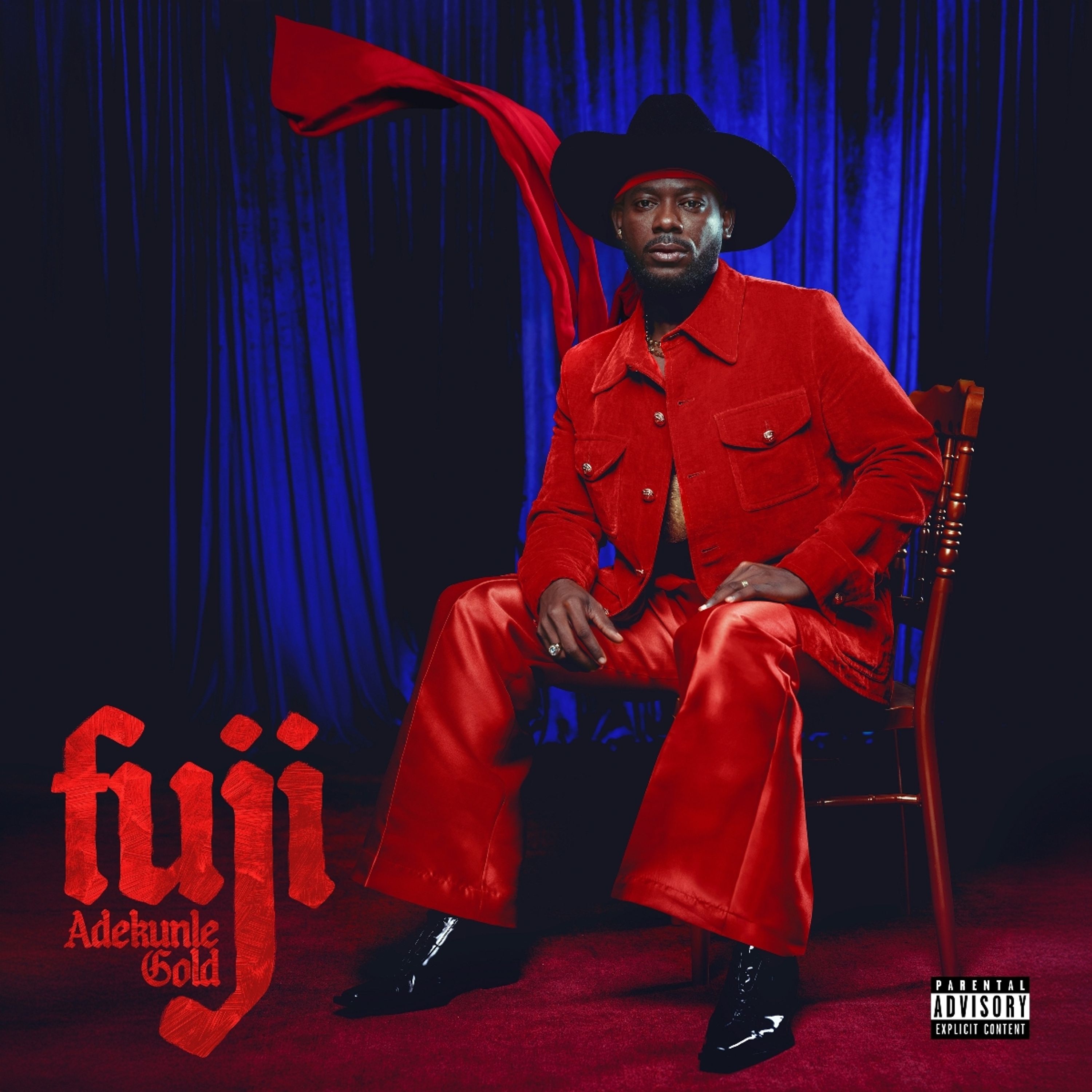 Vinyl Adekunle Gold - FUJI