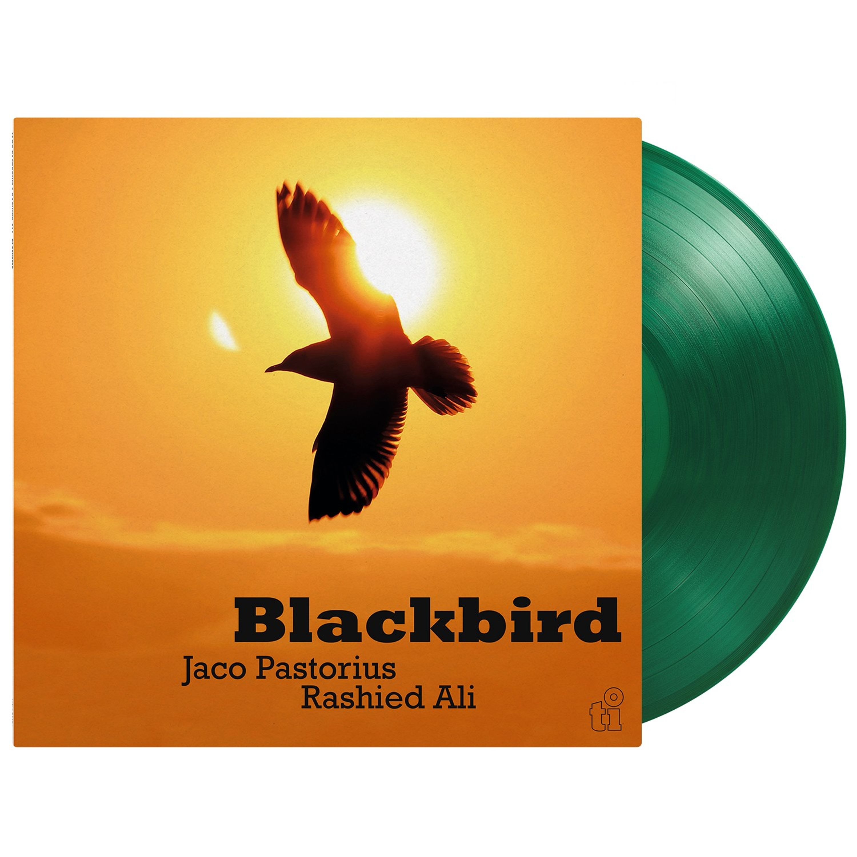 Vinyl - BLACKBIRD