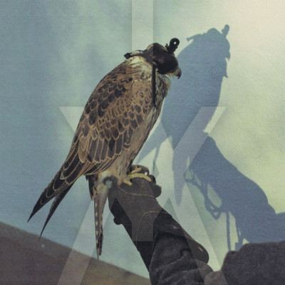 CD Iceage - YOU'RE NOTHING