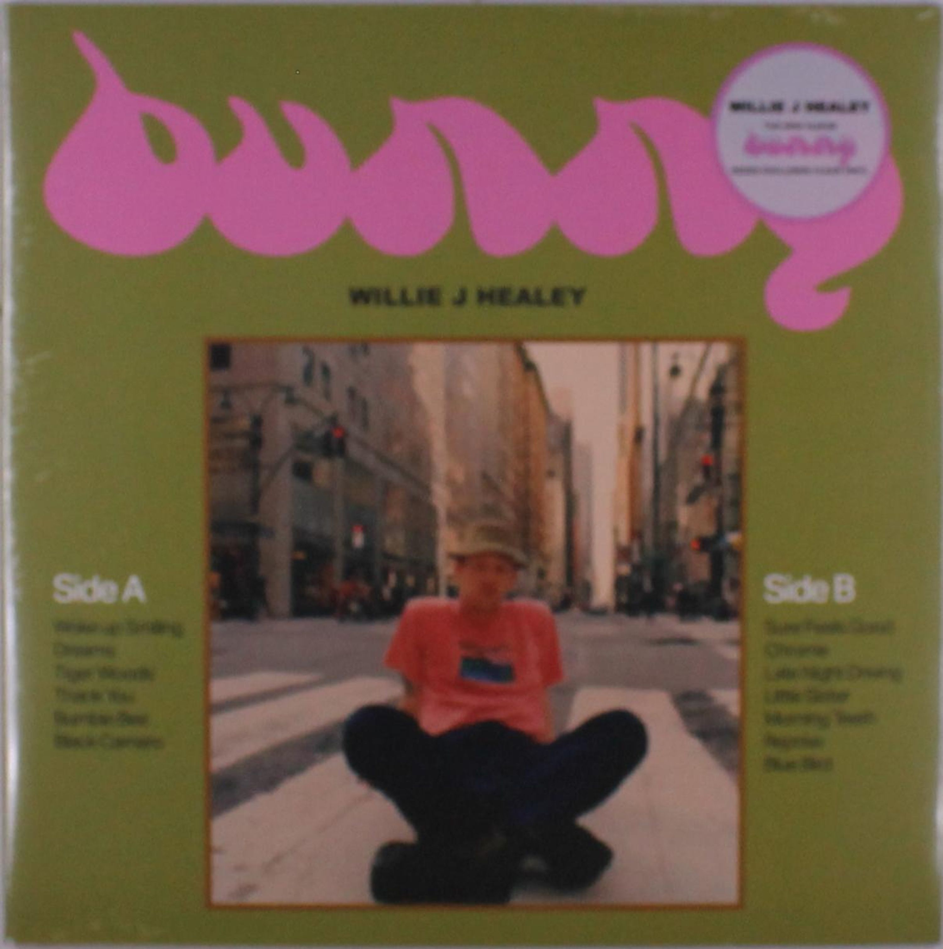 Vinyl Willie J Healey - BUNNY