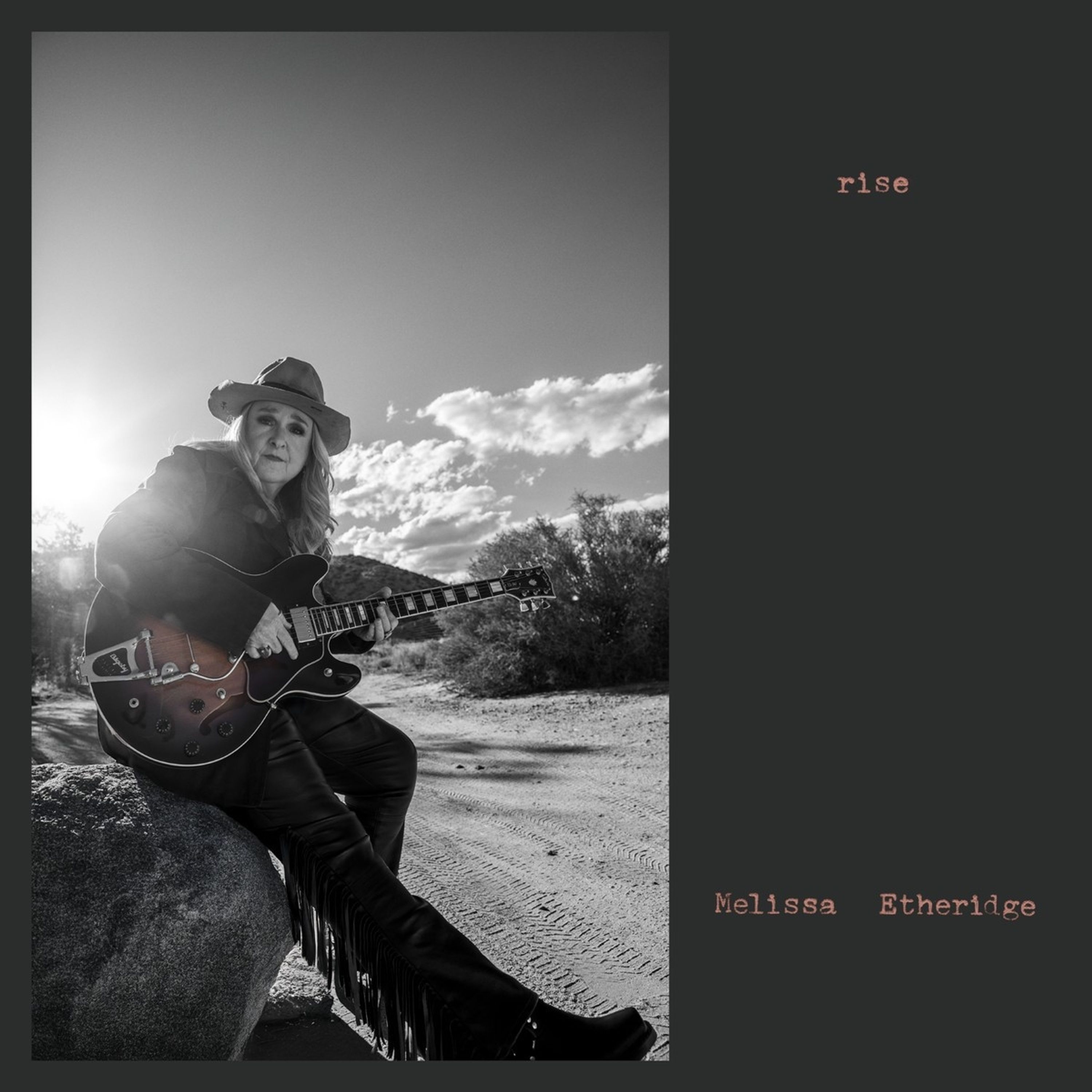 CD Melissa Etheridge - RISE