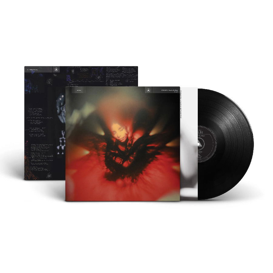 Vinyl SPELLLING - PORTRAIT OF MY HEART