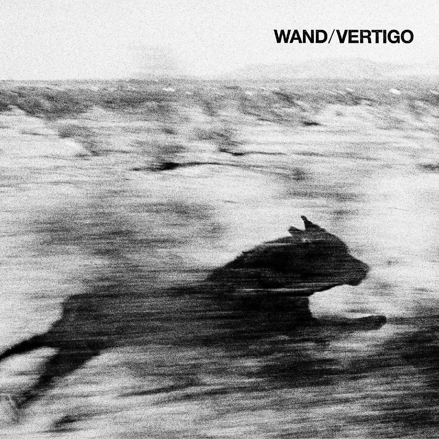 Vinyl Wand - VERTIGO
