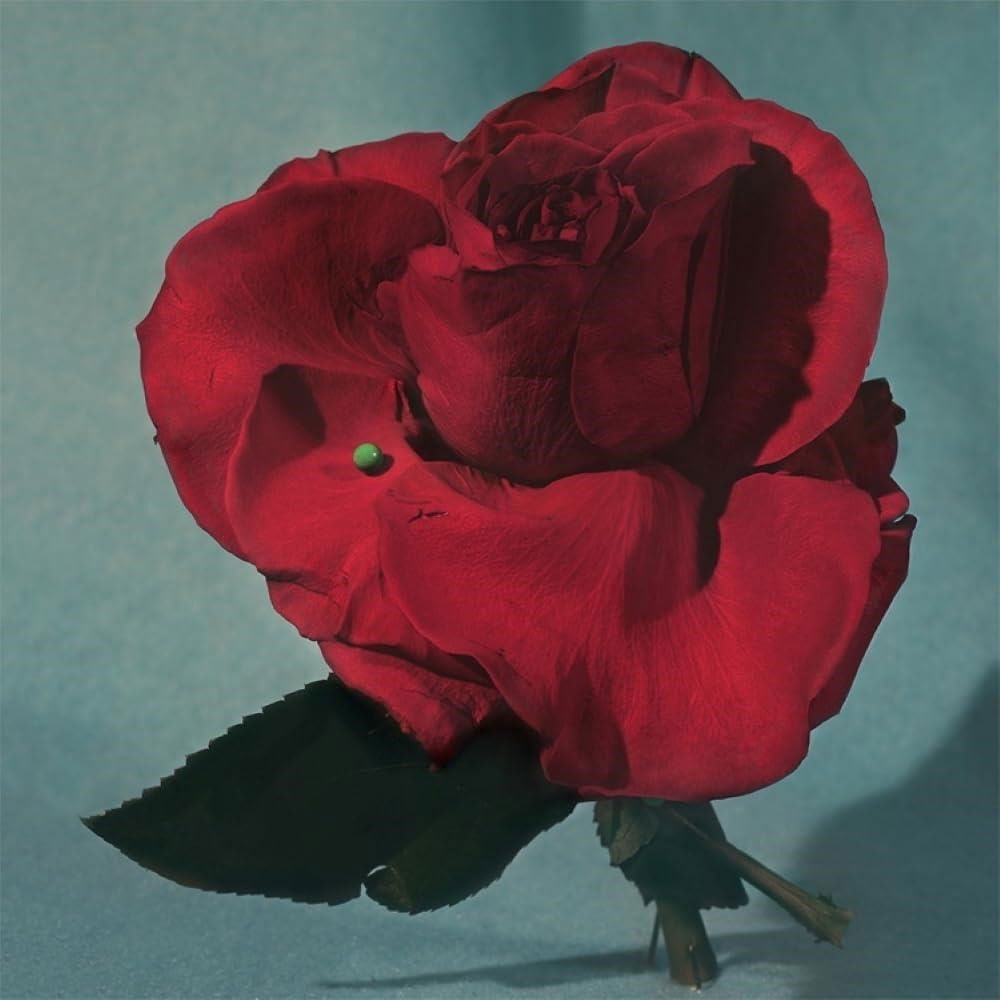 Vinyl METZ - UP ON GRAVITY HILL