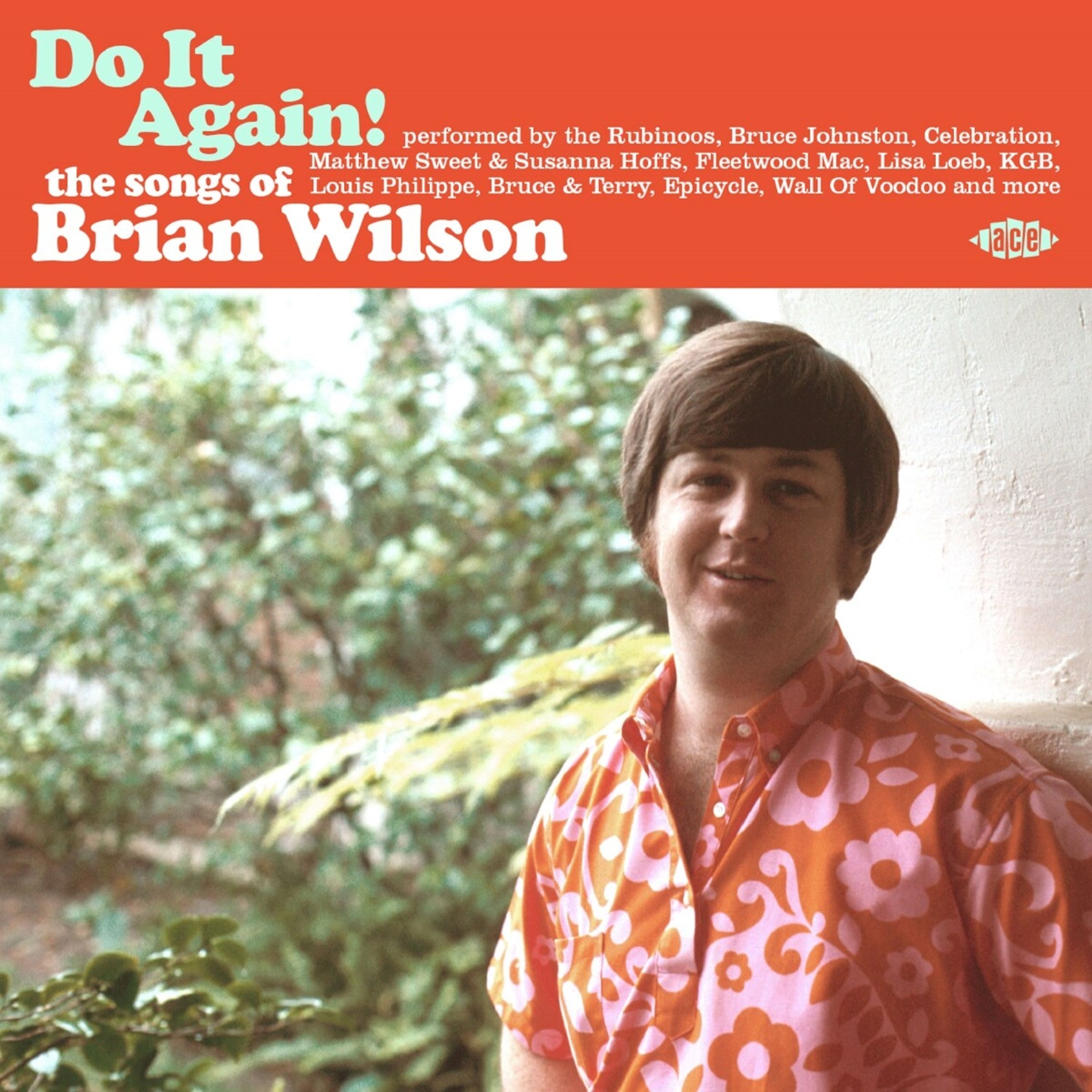 CD Brian Wilson - DO IT AGAIN!