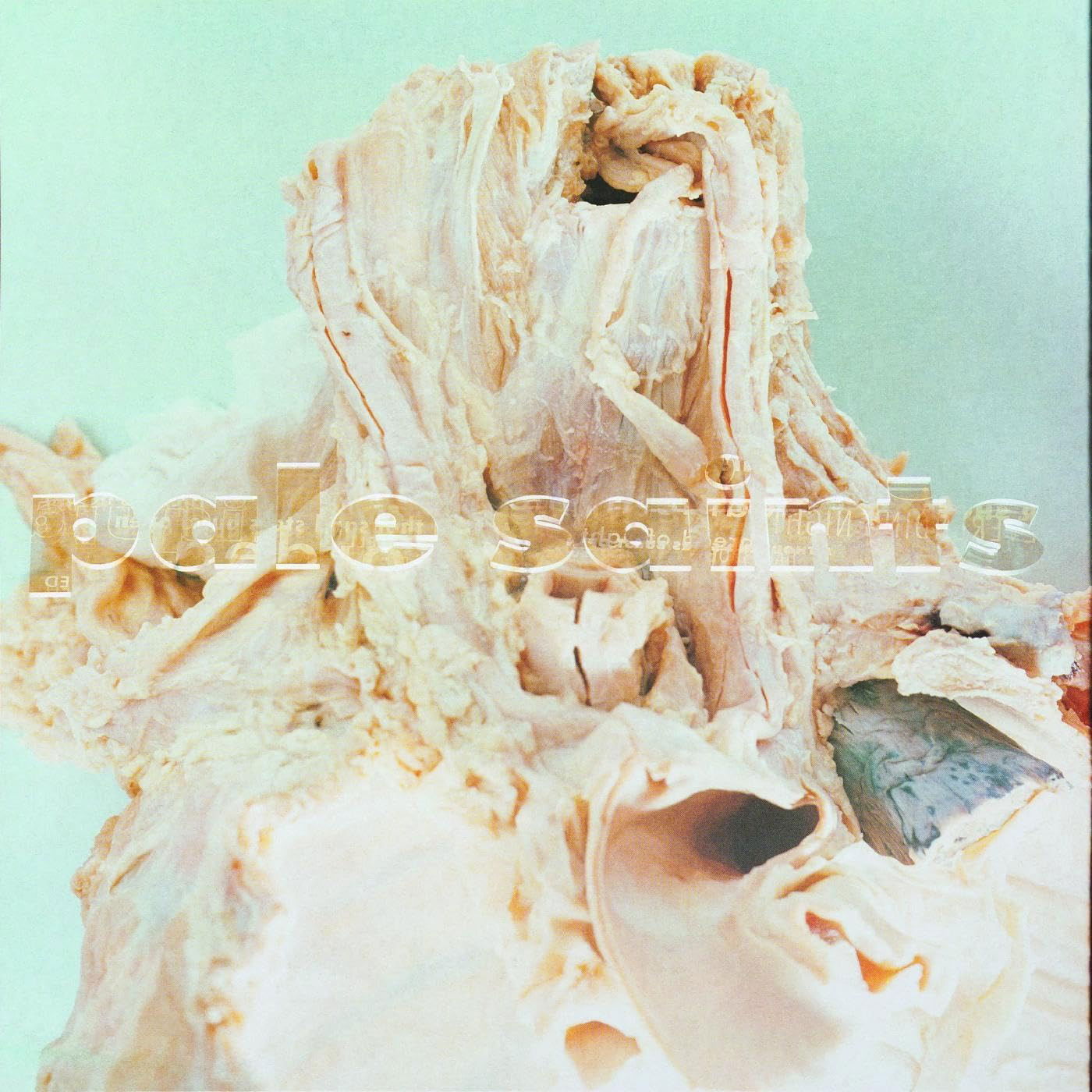 CD Pale Saints - IN RIBBONS