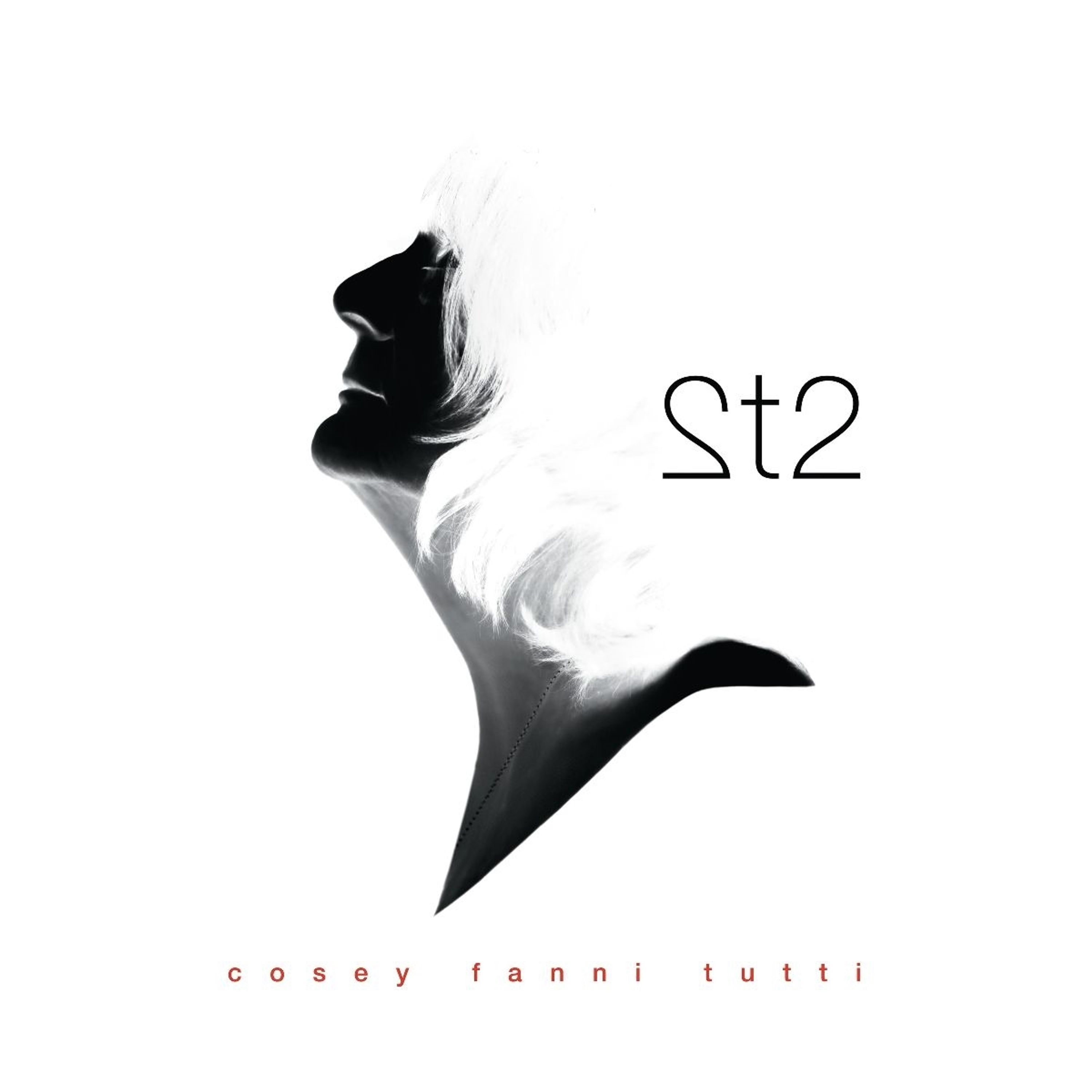 Vinyl Cosey Fanni Tutti - 2T2