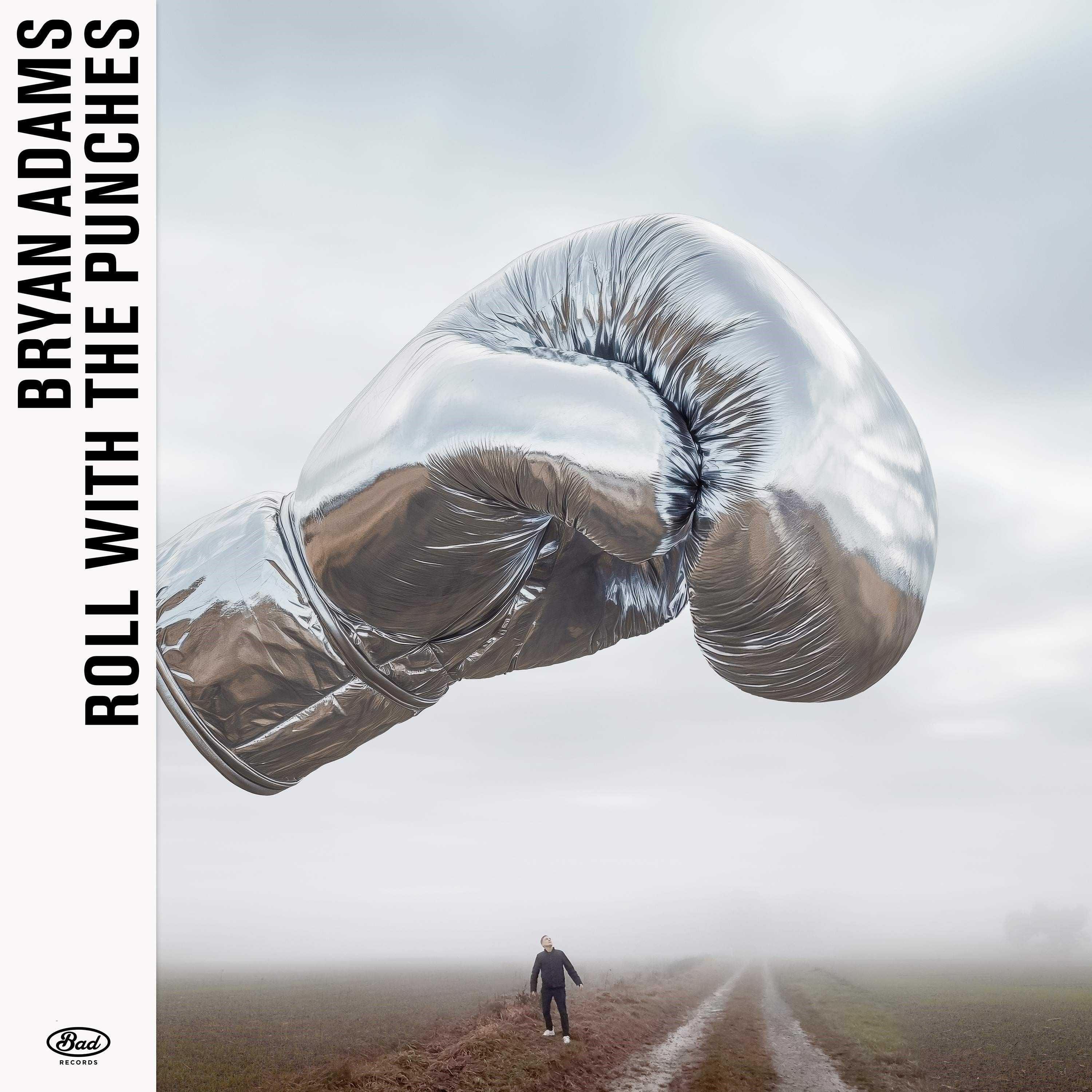 CD Bryan Adams - ROLL WITH THE PUNCHES