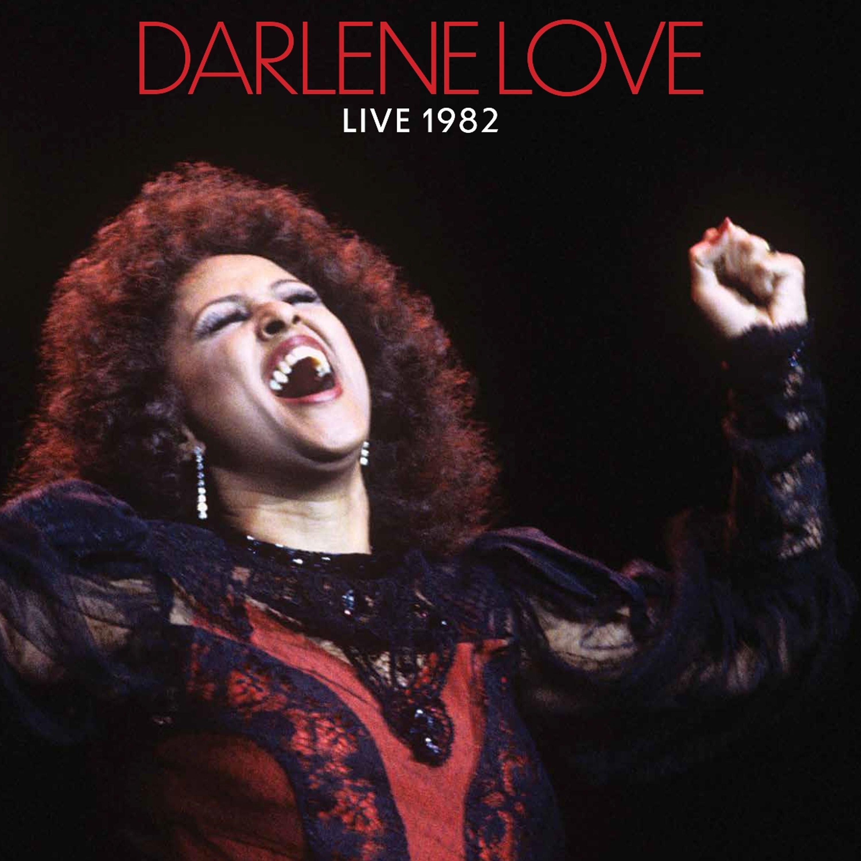 Vinyl - LIVE 1982