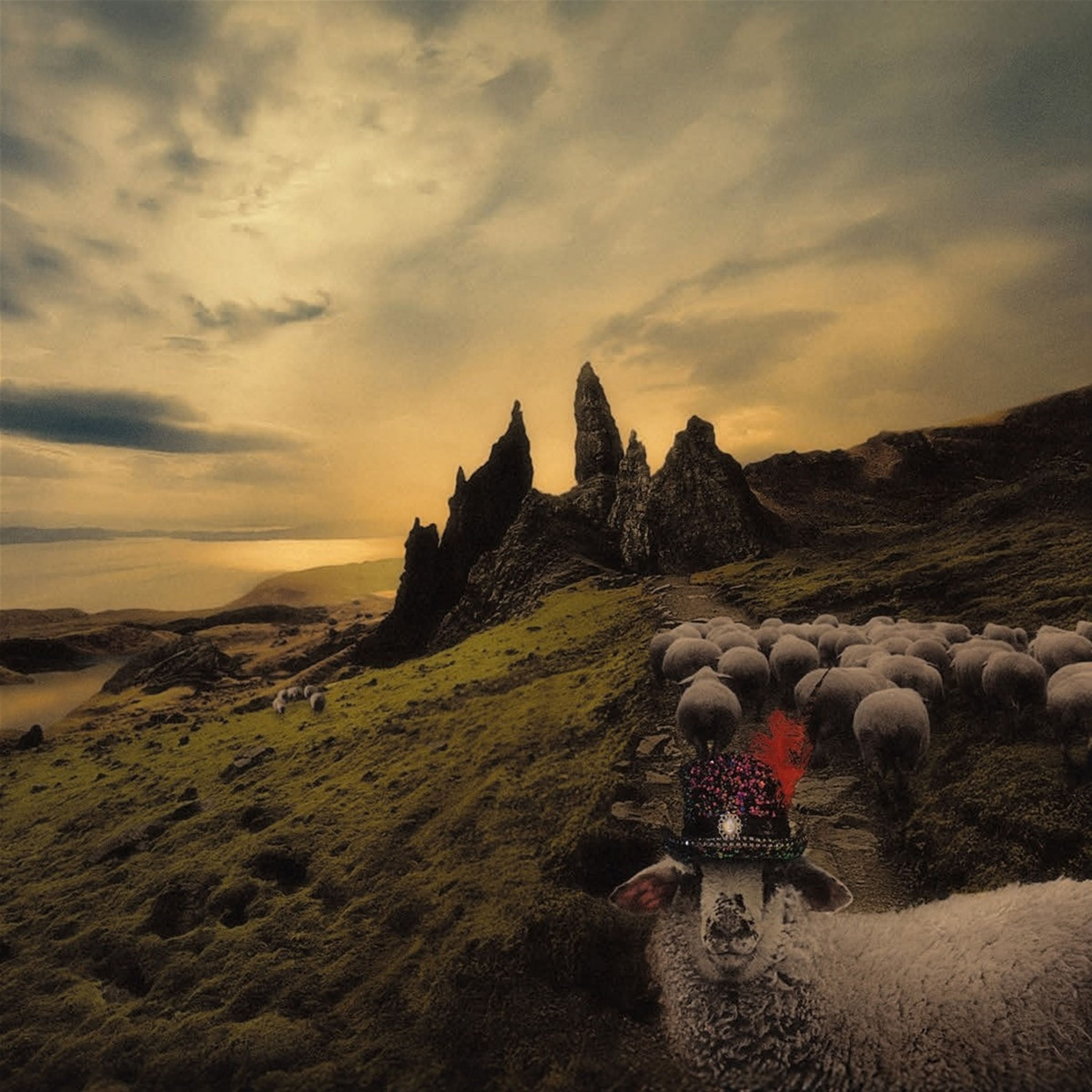 CD - SHEEPLE