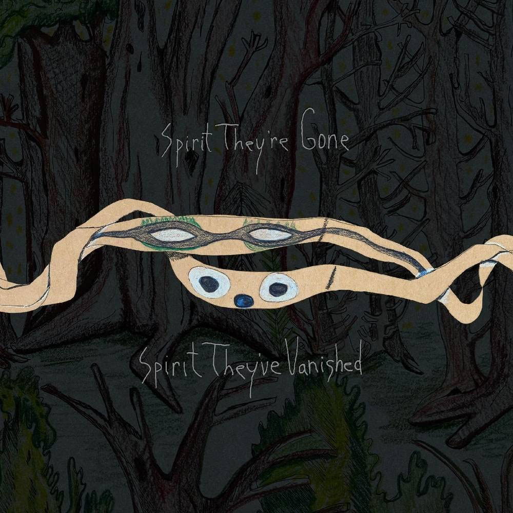 Vinyl Animal Collective - SPIRIT THEY'RE GONE, SPIRIT THEY'VE VANISHED