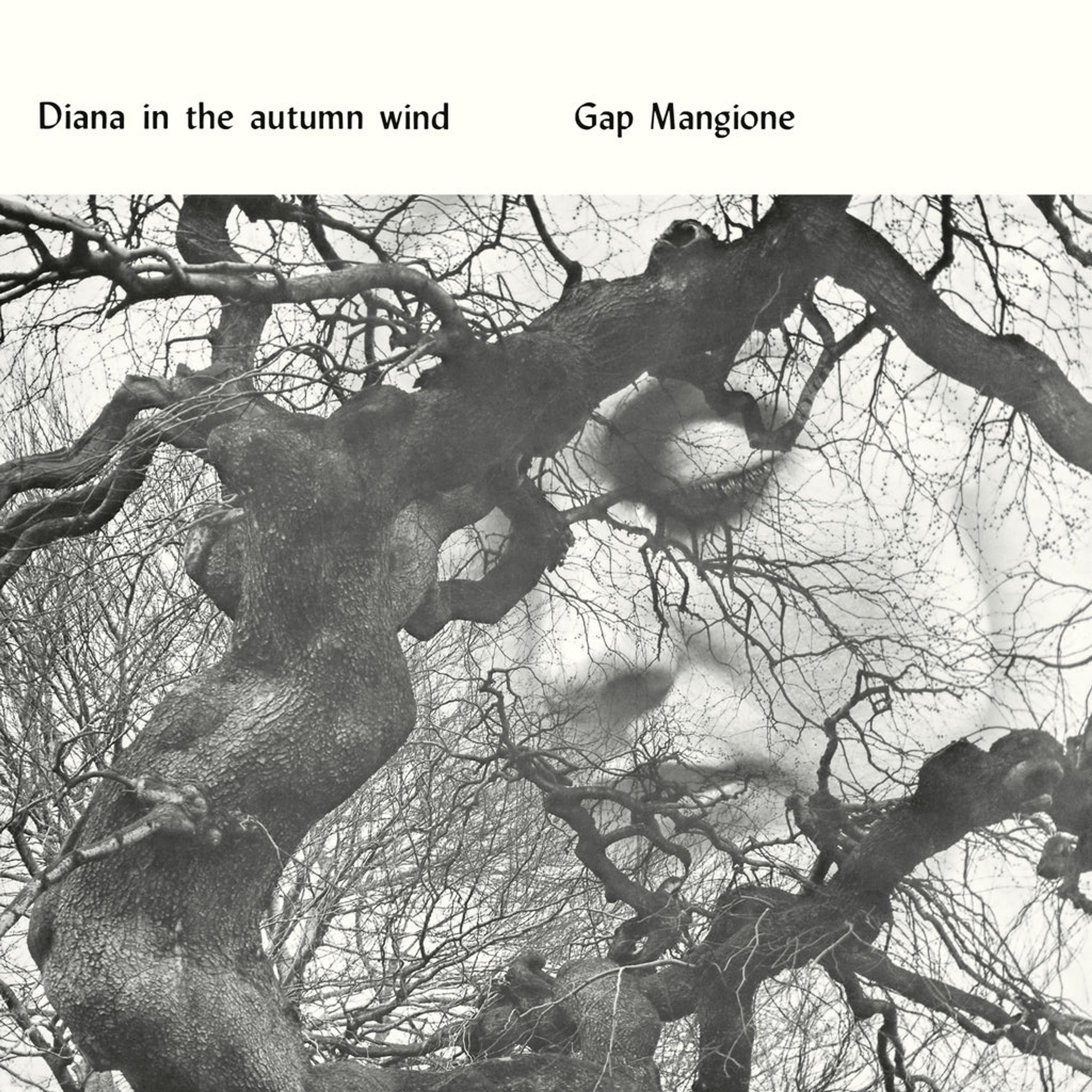 Vinyl - DIANA IN THE AUTUMN WIND
