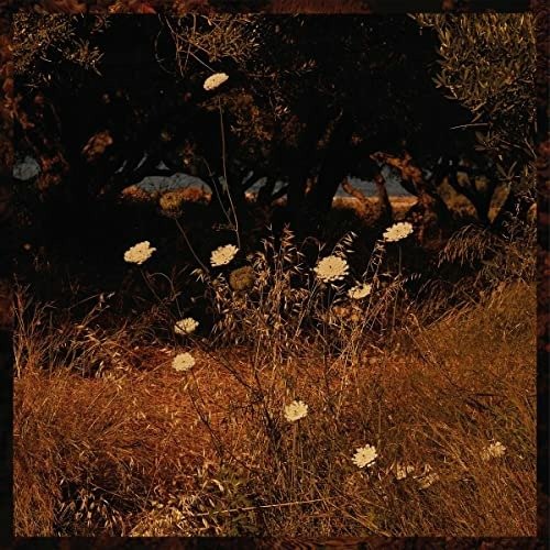 CD Szun Waves - EARTH PATTERNS