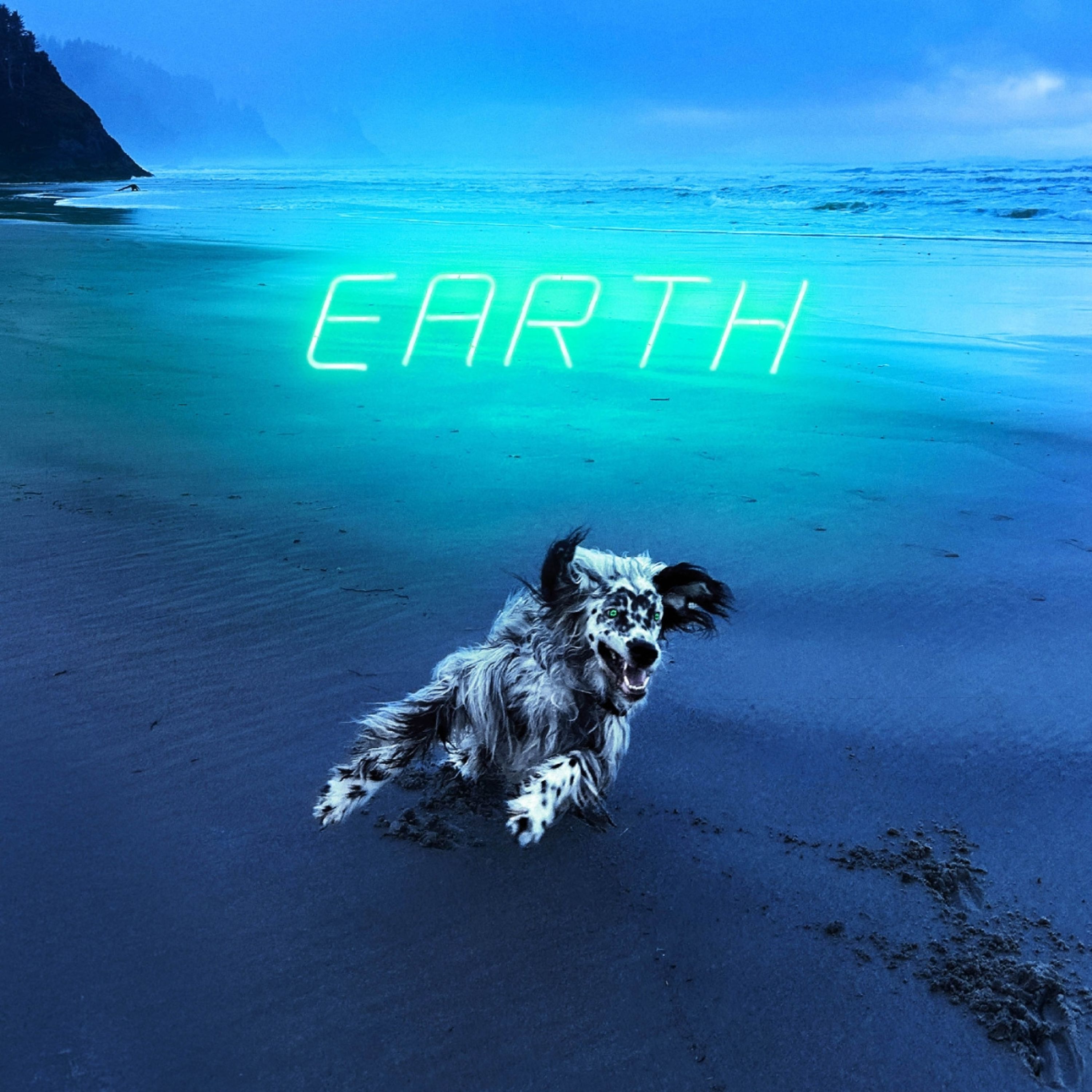 CD MOTRIK - EARTH