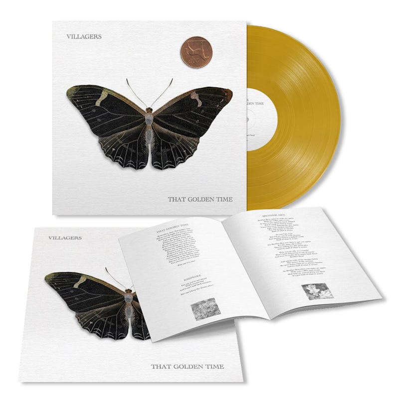 Vinyl Villagers - THAT GOLDEN TIME