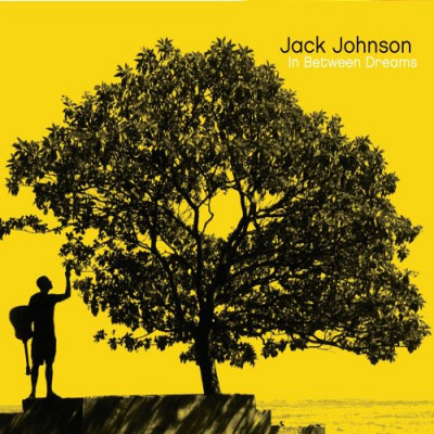 Vinyl Jack Johnson - IN BETWEEN DREAMS