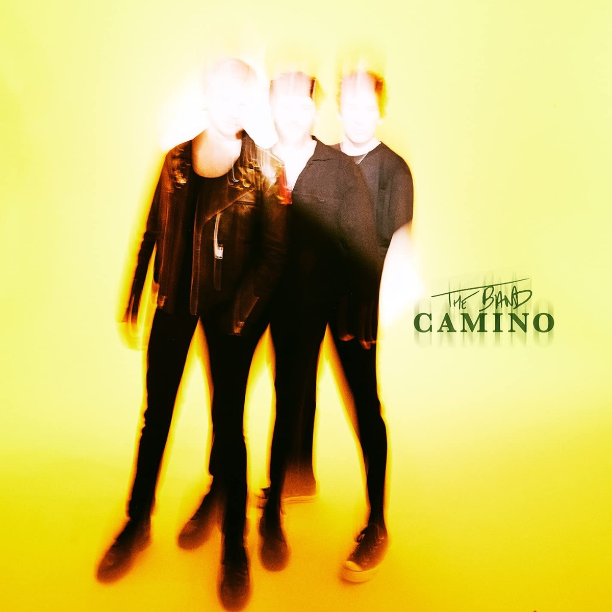CD The Band Camino - THE BAND CAMINO