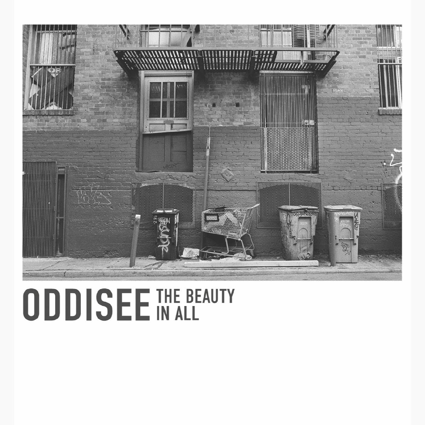 Vinyl Oddisee - BEAUTY IN ALL