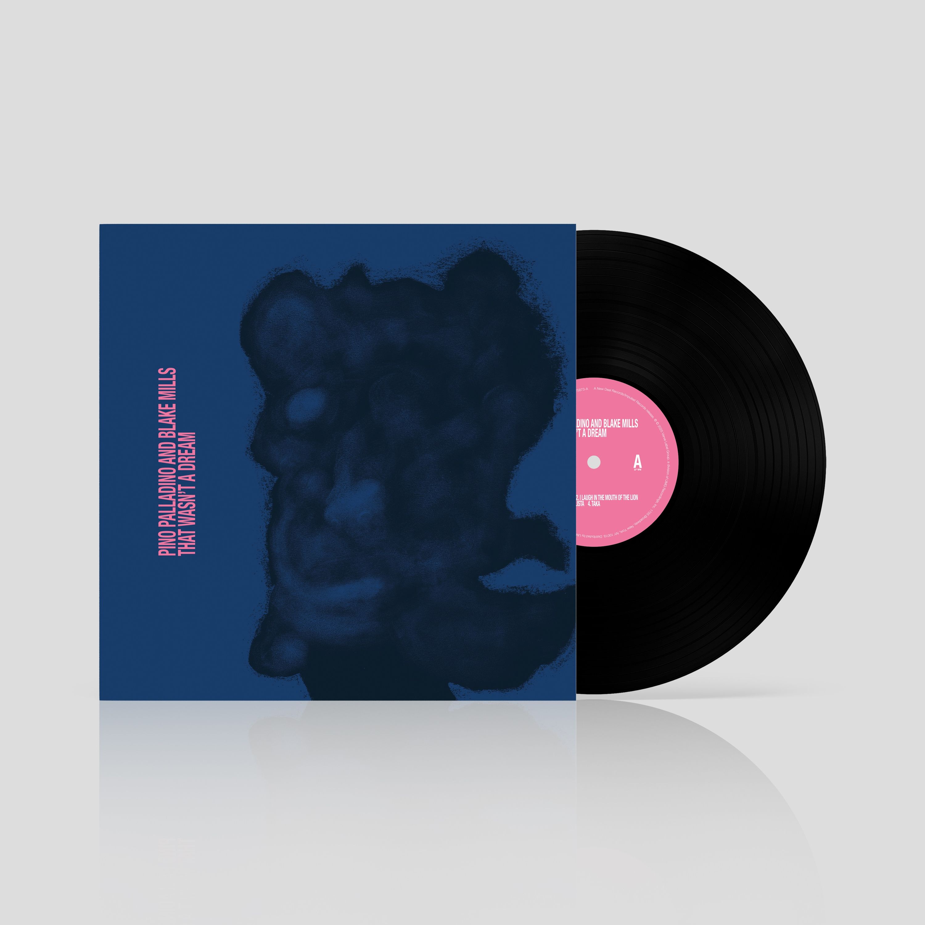 Vinyl Pino Palladino & Blake Mills - THAT WASN'T A DREAM