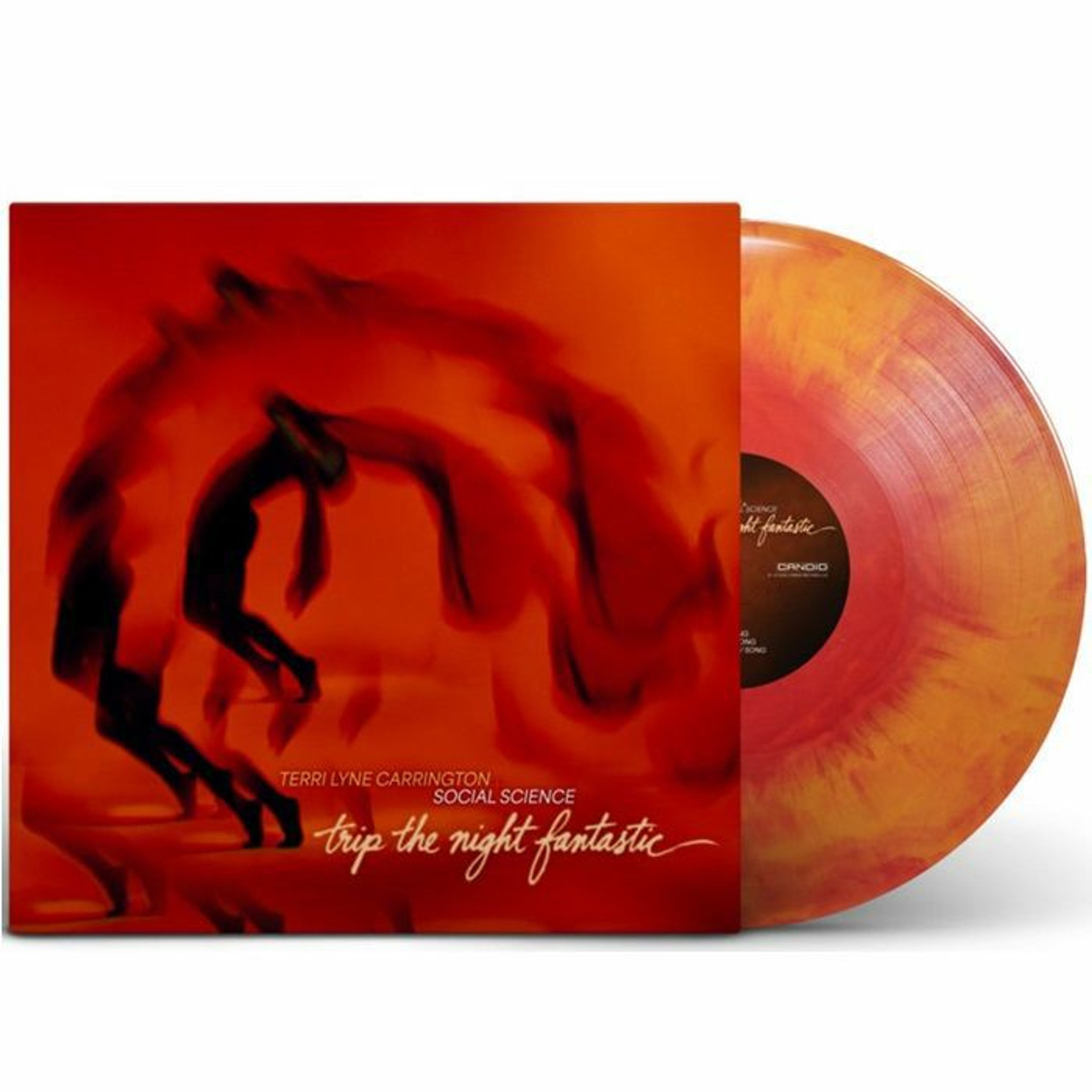 Vinyl Terri Lyne Carrington - TRIP THE NIGHT FANTASTIC
