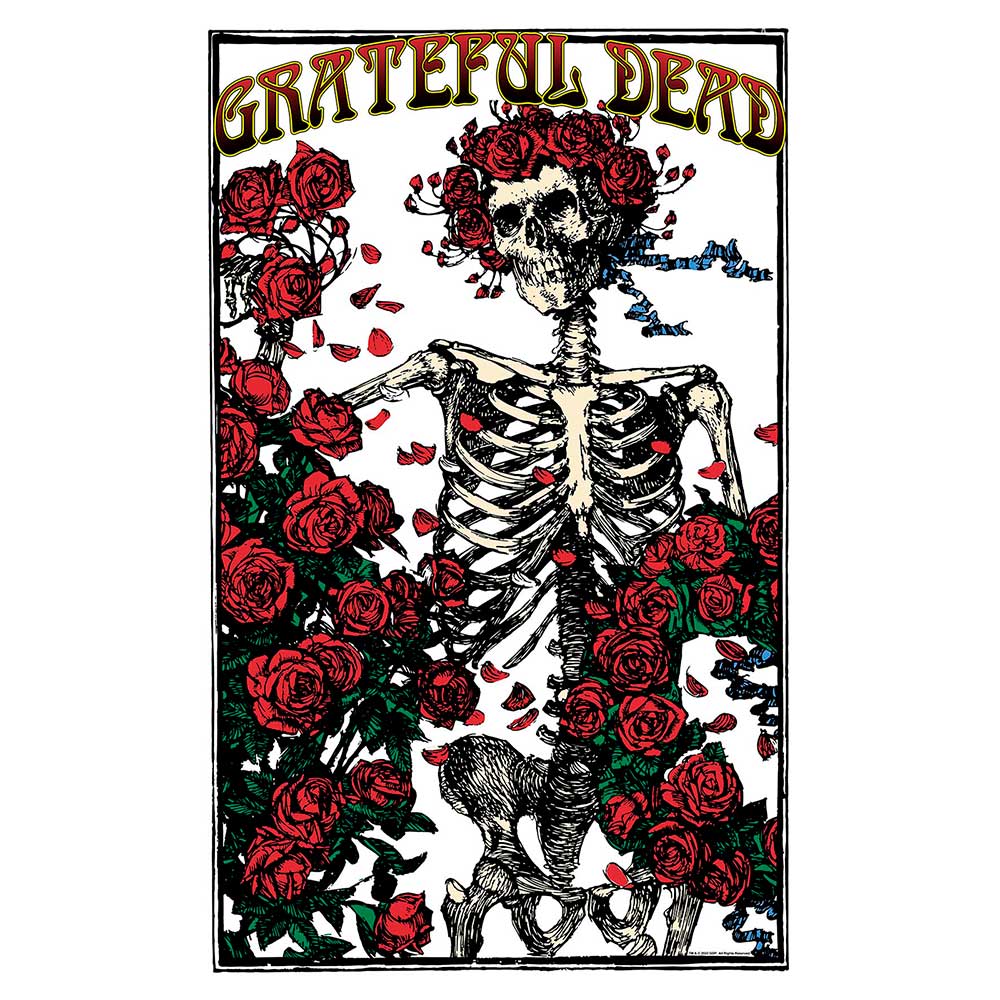 Plagát Grateful Dead - Skeleton & Rose