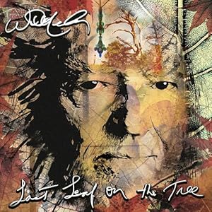 CD Willie Nelson - Last Leaf On the Tree