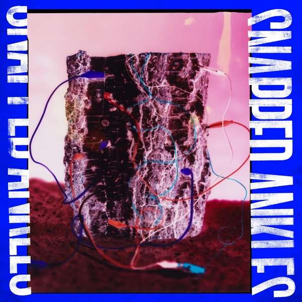 CD Snapped Ankles - FOREST OF YOUR PROBLEMS