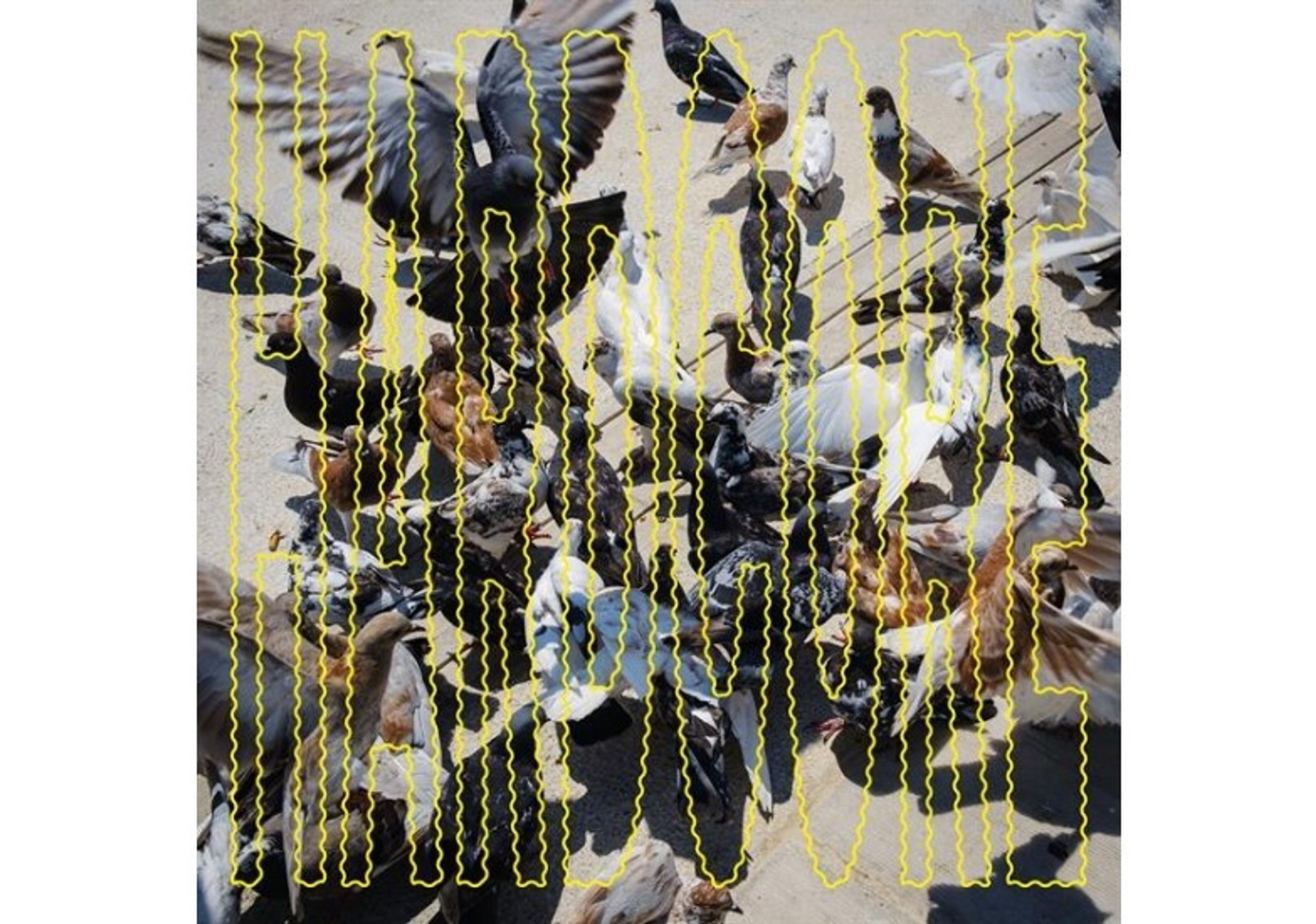 Vinyl SALO - HARDCORE
