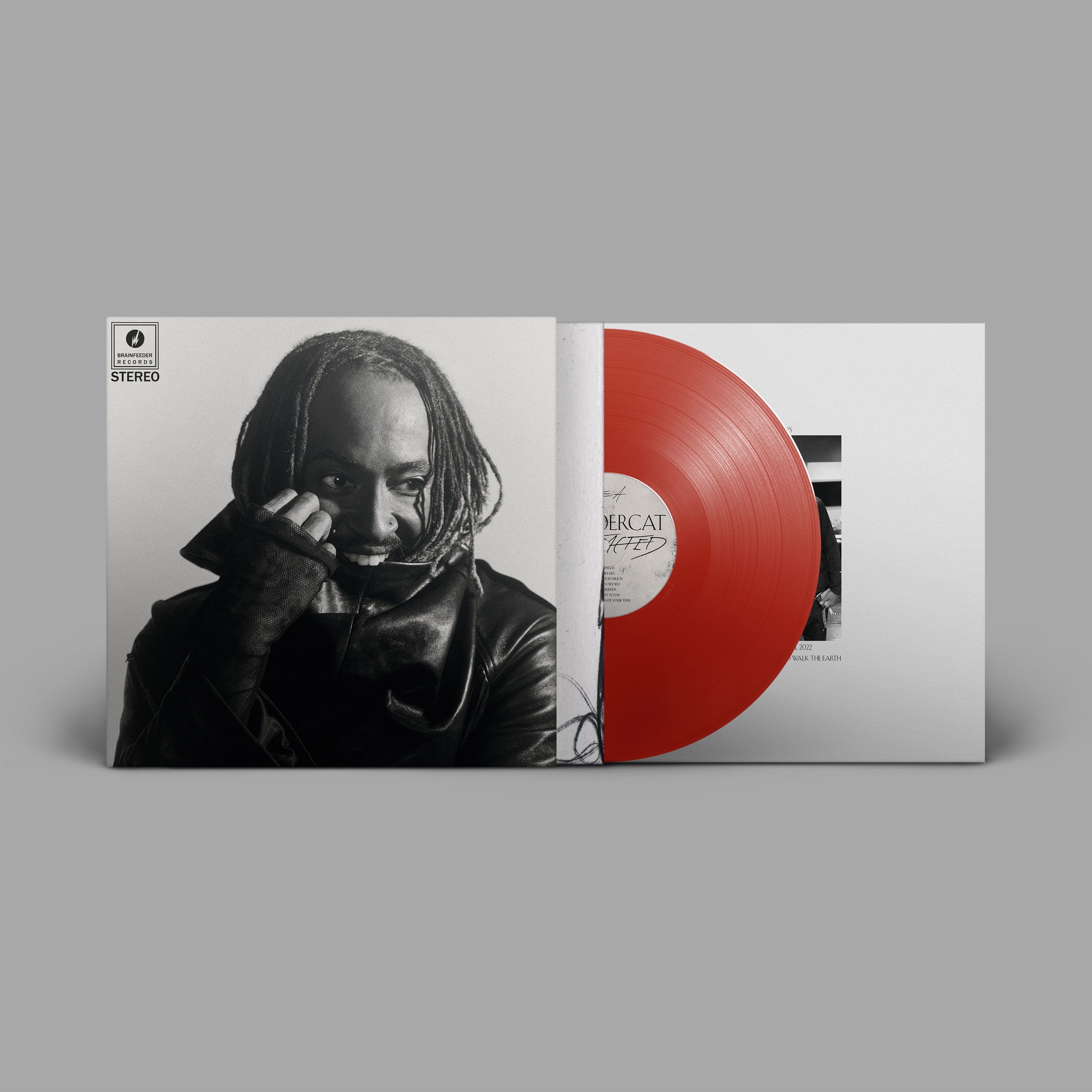 Vinyl Thundercat - Distracted