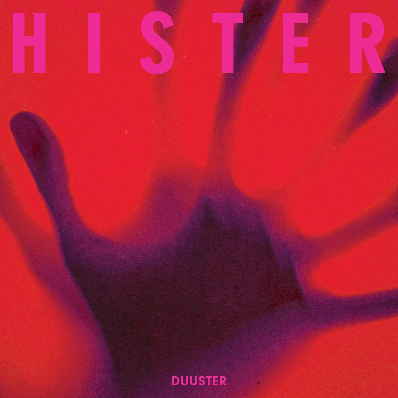Vinyl Hister - DUUSTER