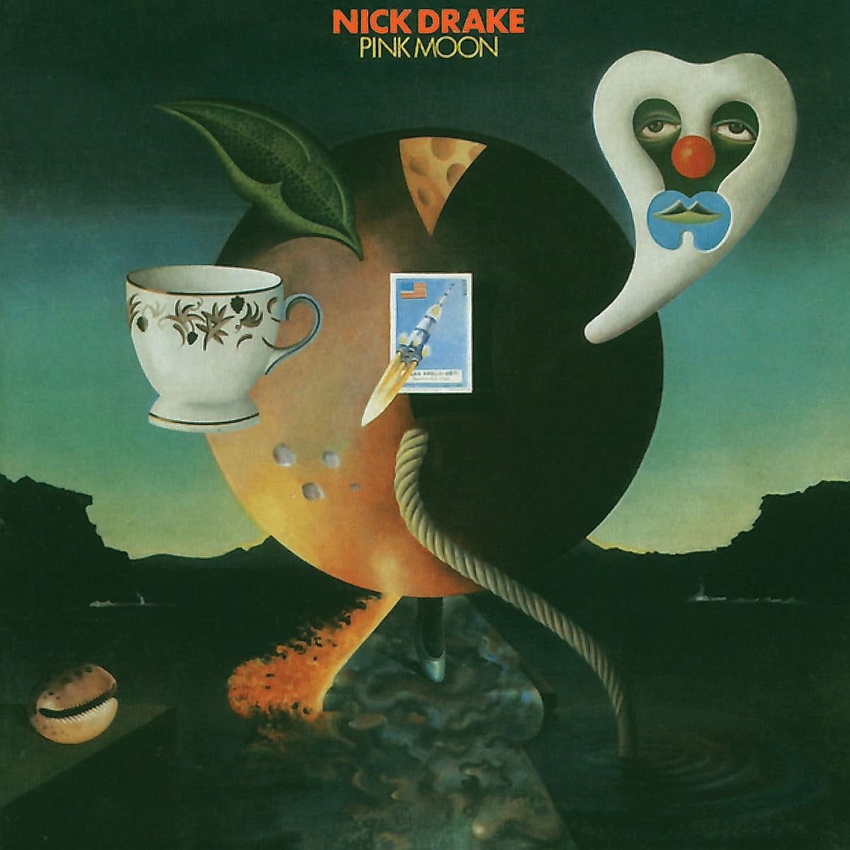 Vinyl Nick Drake - PINK MOON