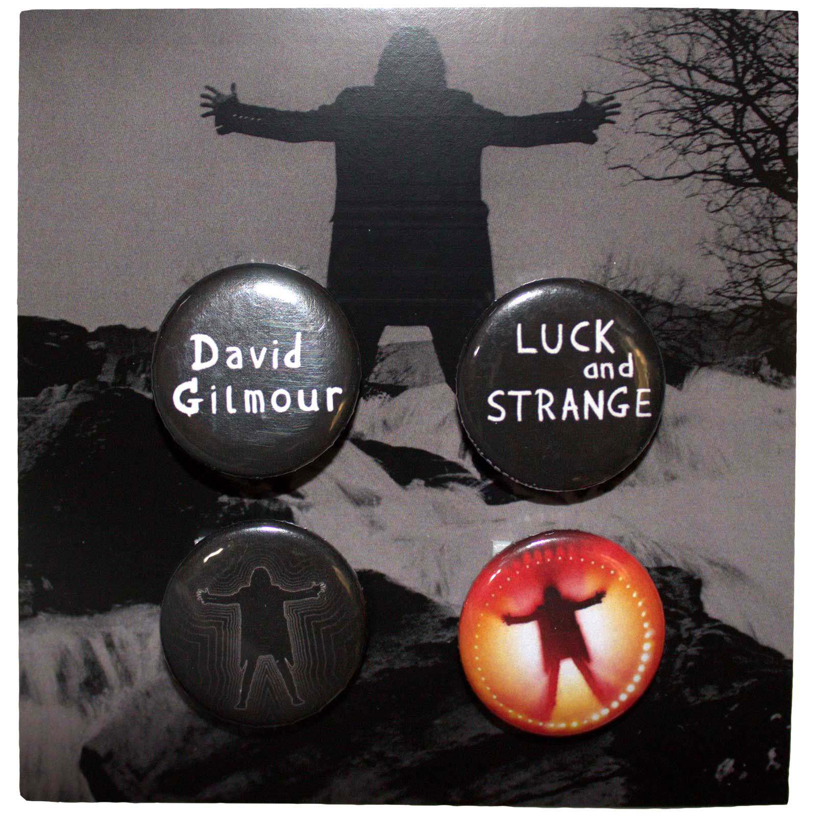 Odznak David Gilmour - Luck & Strange