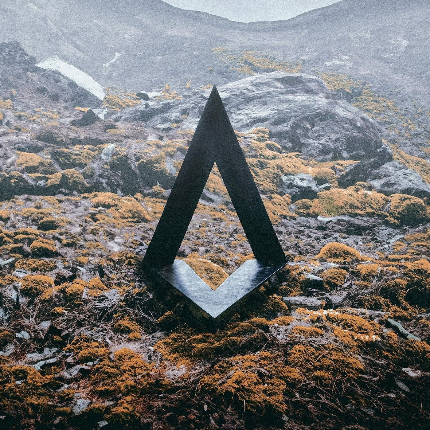 Vinyl Kiasmos - II
