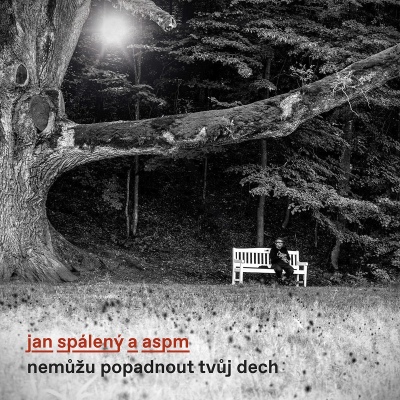 CD Jan Spálený & ASPM - Nemůžu popadnout tvůj dech