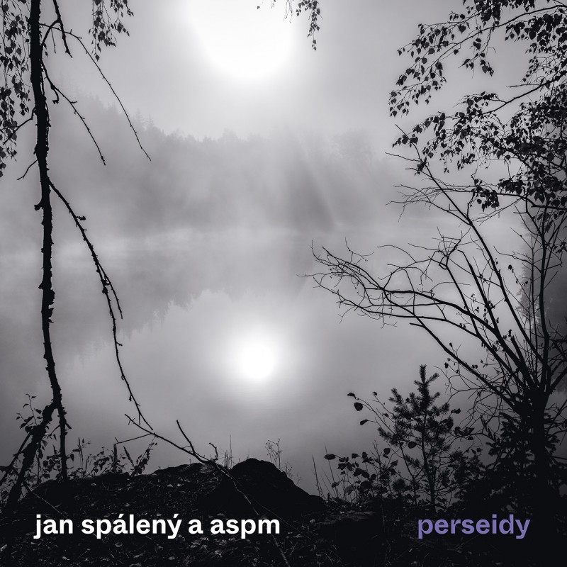 CD Jan Spálený & ASPM - Perseidy