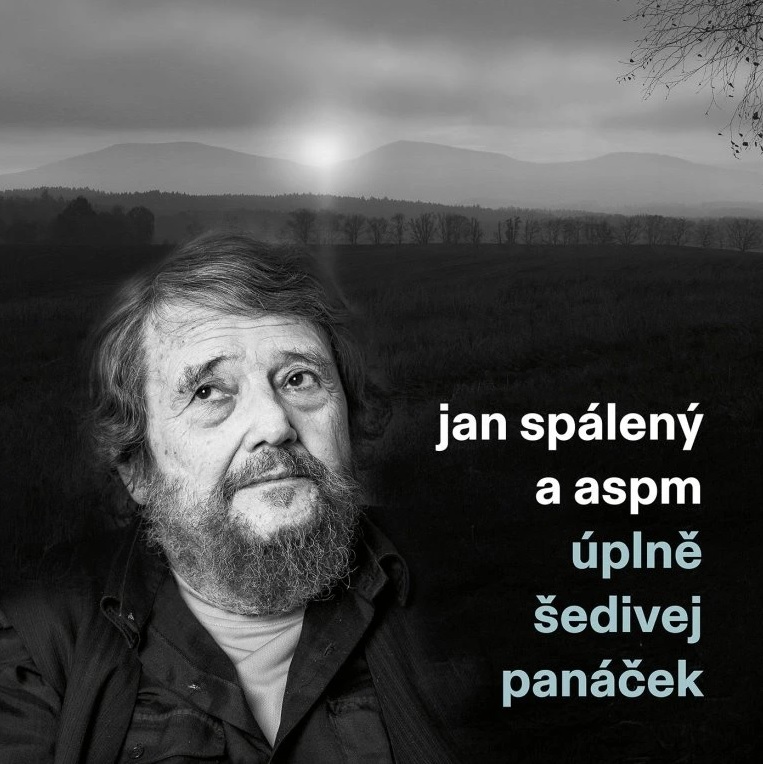 Vinyl Jan Spálený & ASPM - Úplně Šedivej Panáček