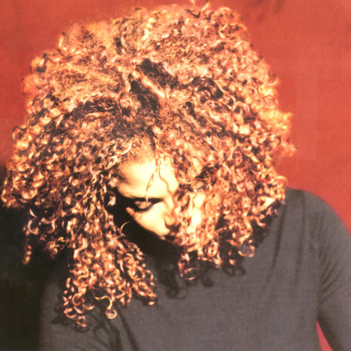 Vinyl Janet Jackson - The Velvet Rope